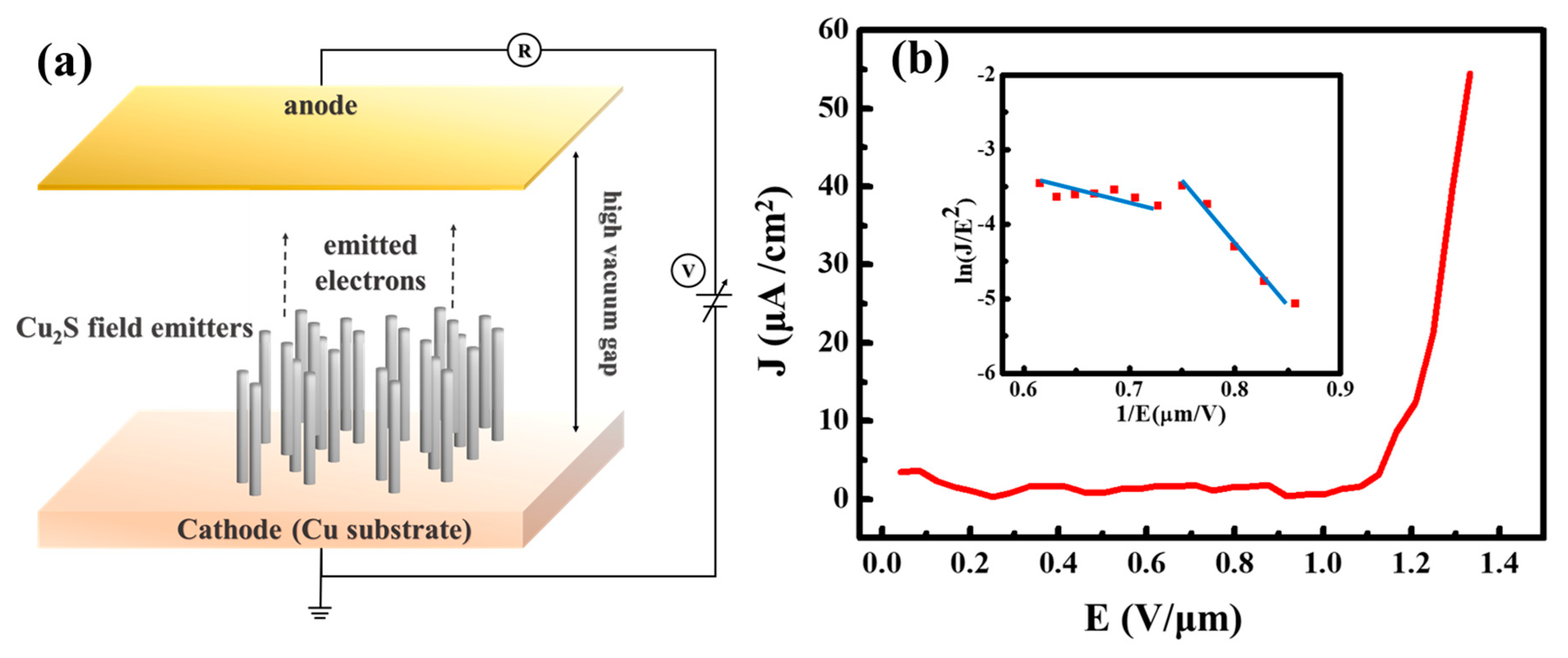 Nanomaterials 10 00399 g004