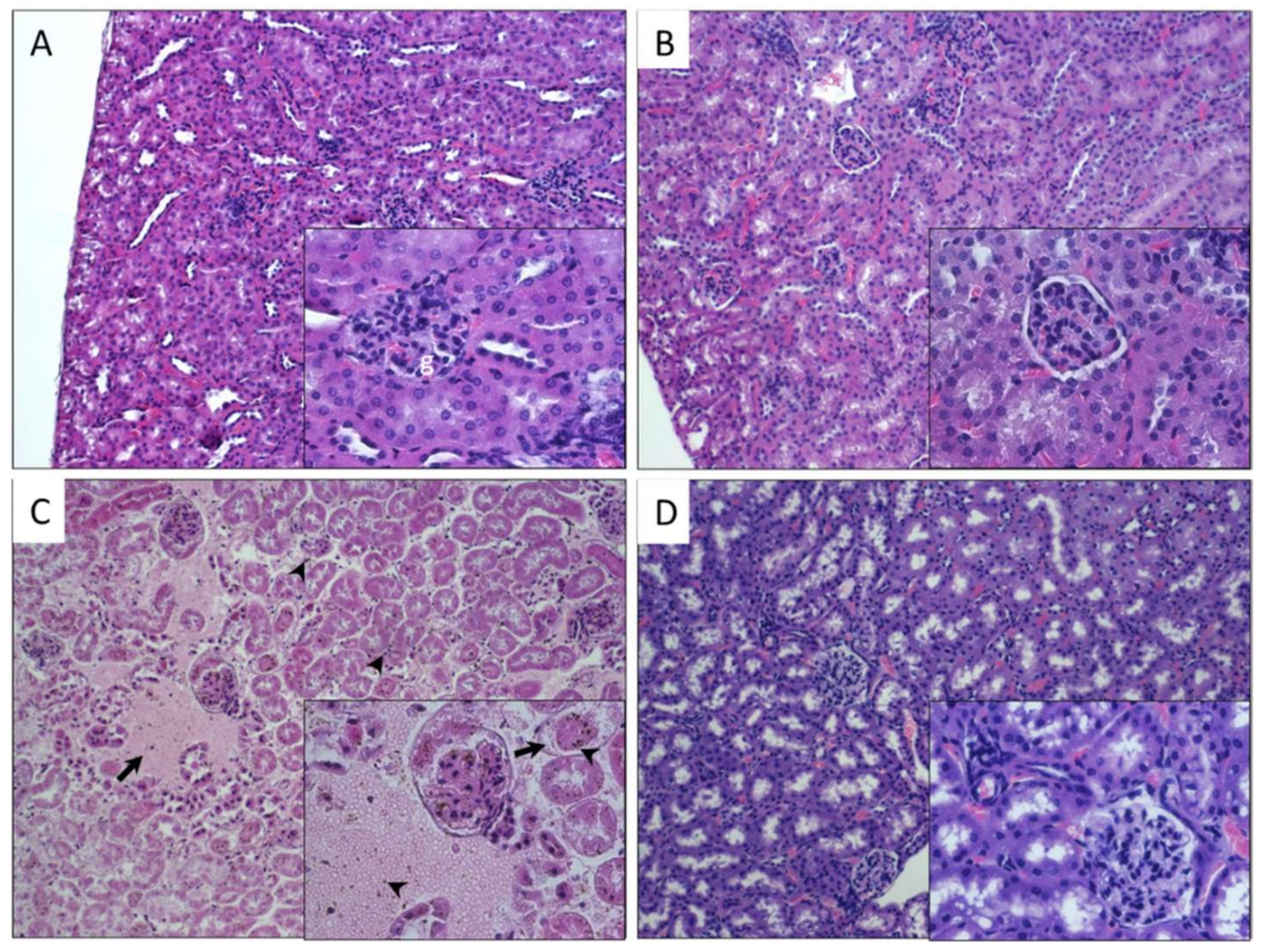 Nanomaterials 10 00400 g004 Nanomaterials 10 00400 g004