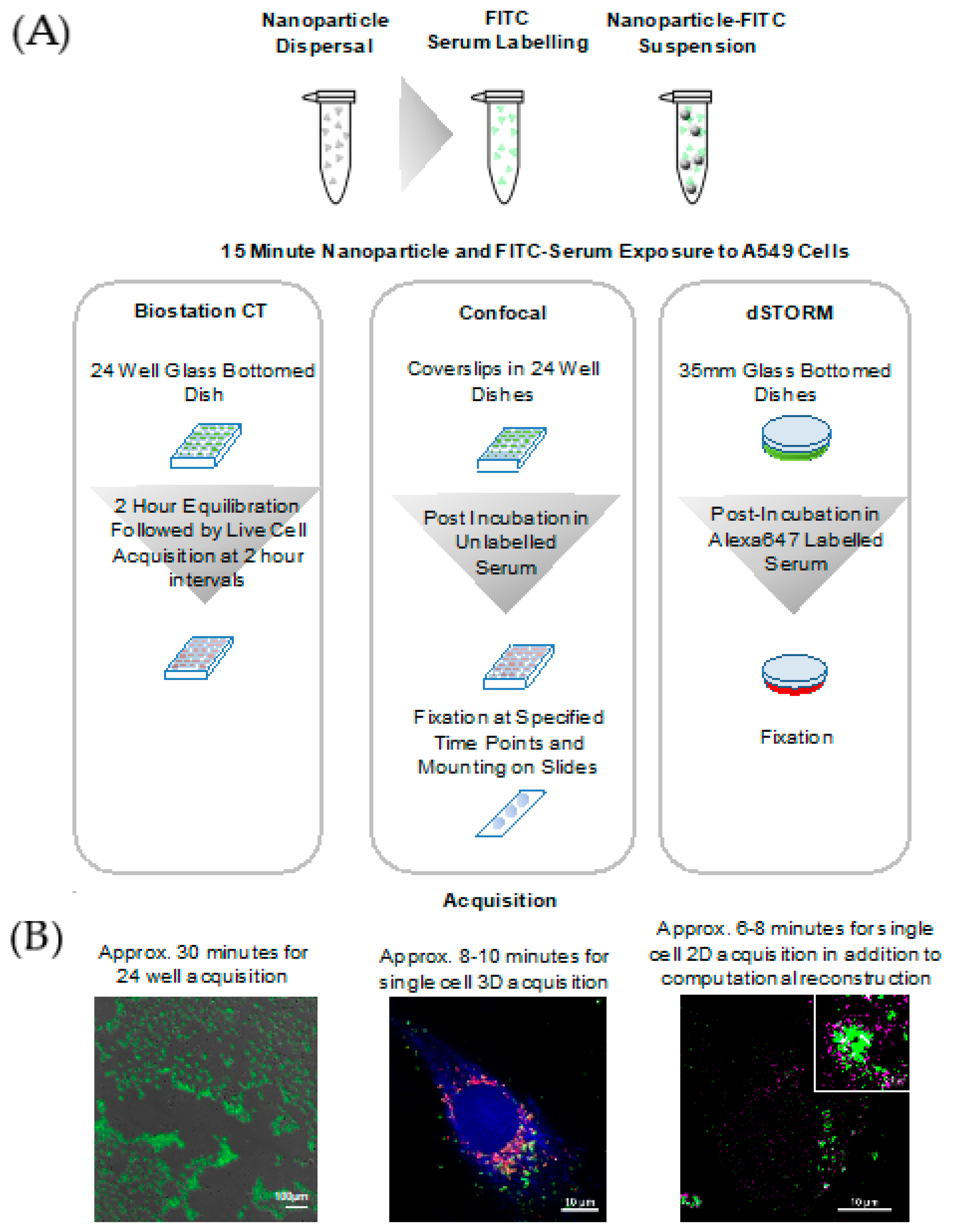 Nanomaterials 10 00401 g001