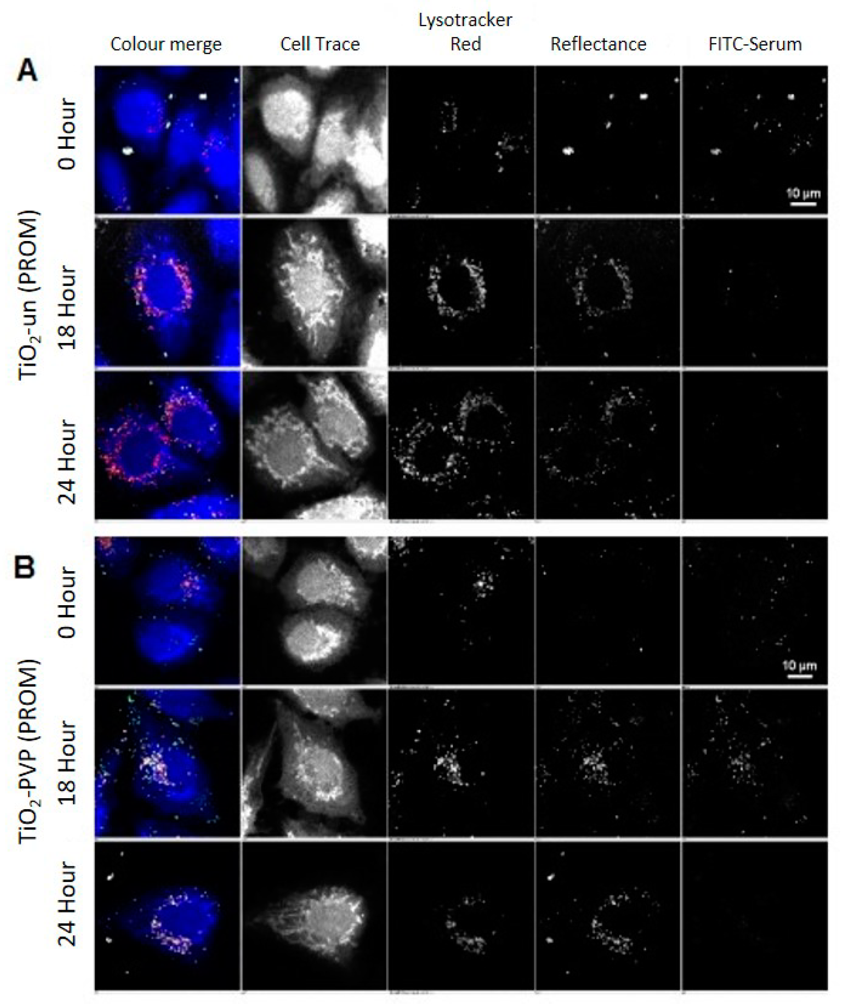 Nanomaterials 10 00401 g003