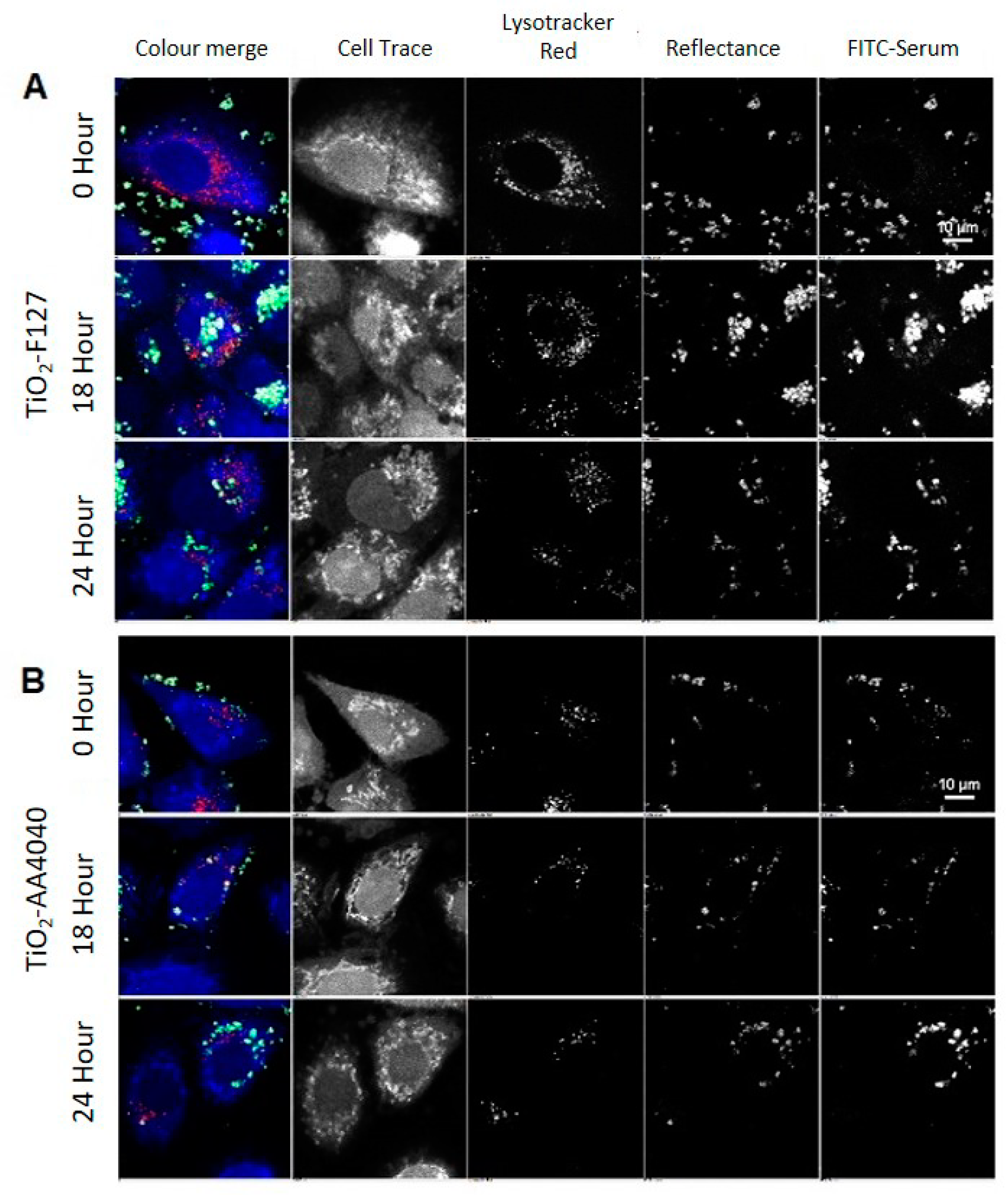 Nanomaterials 10 00401 g004