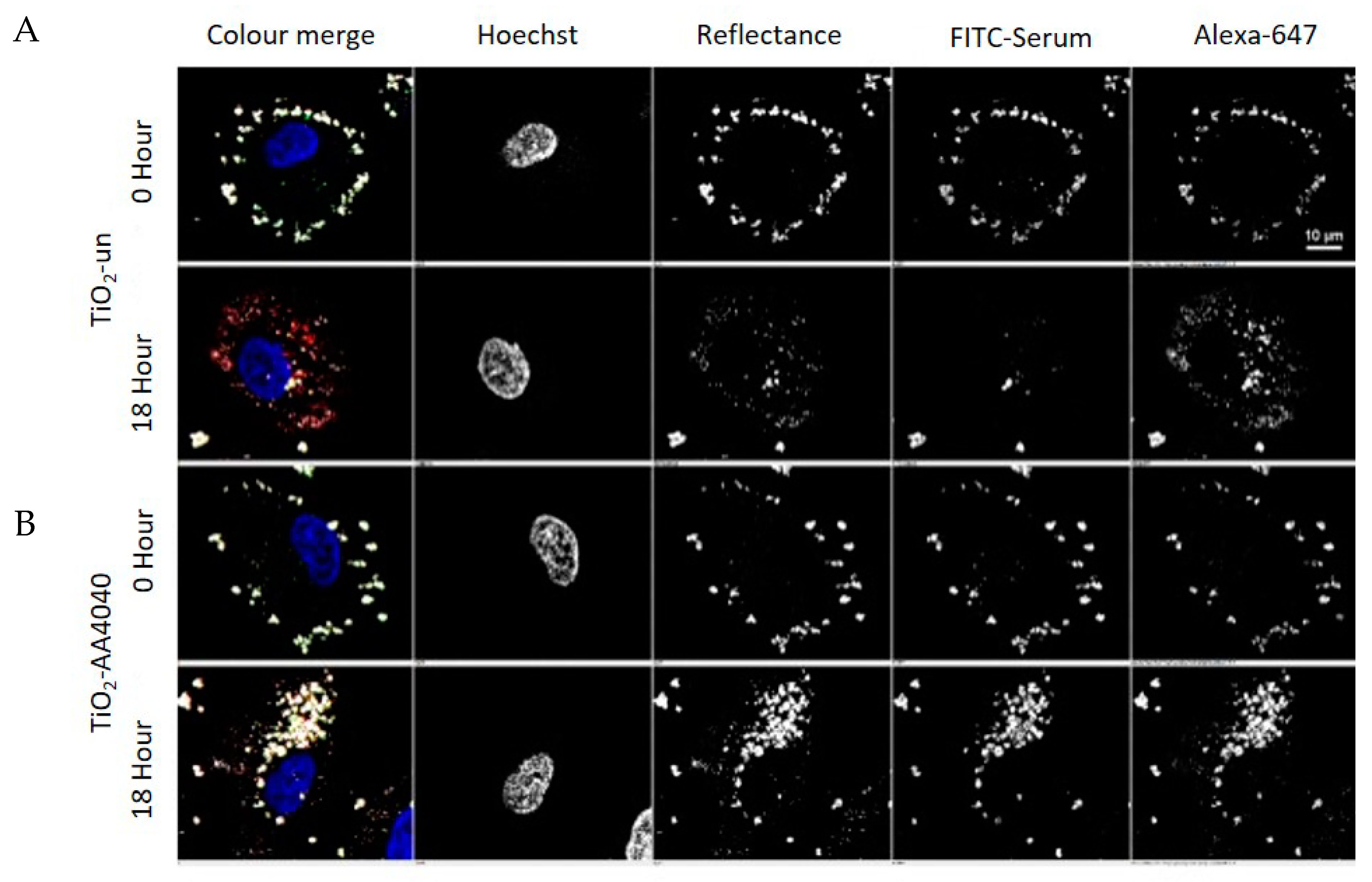 Nanomaterials 10 00401 g006