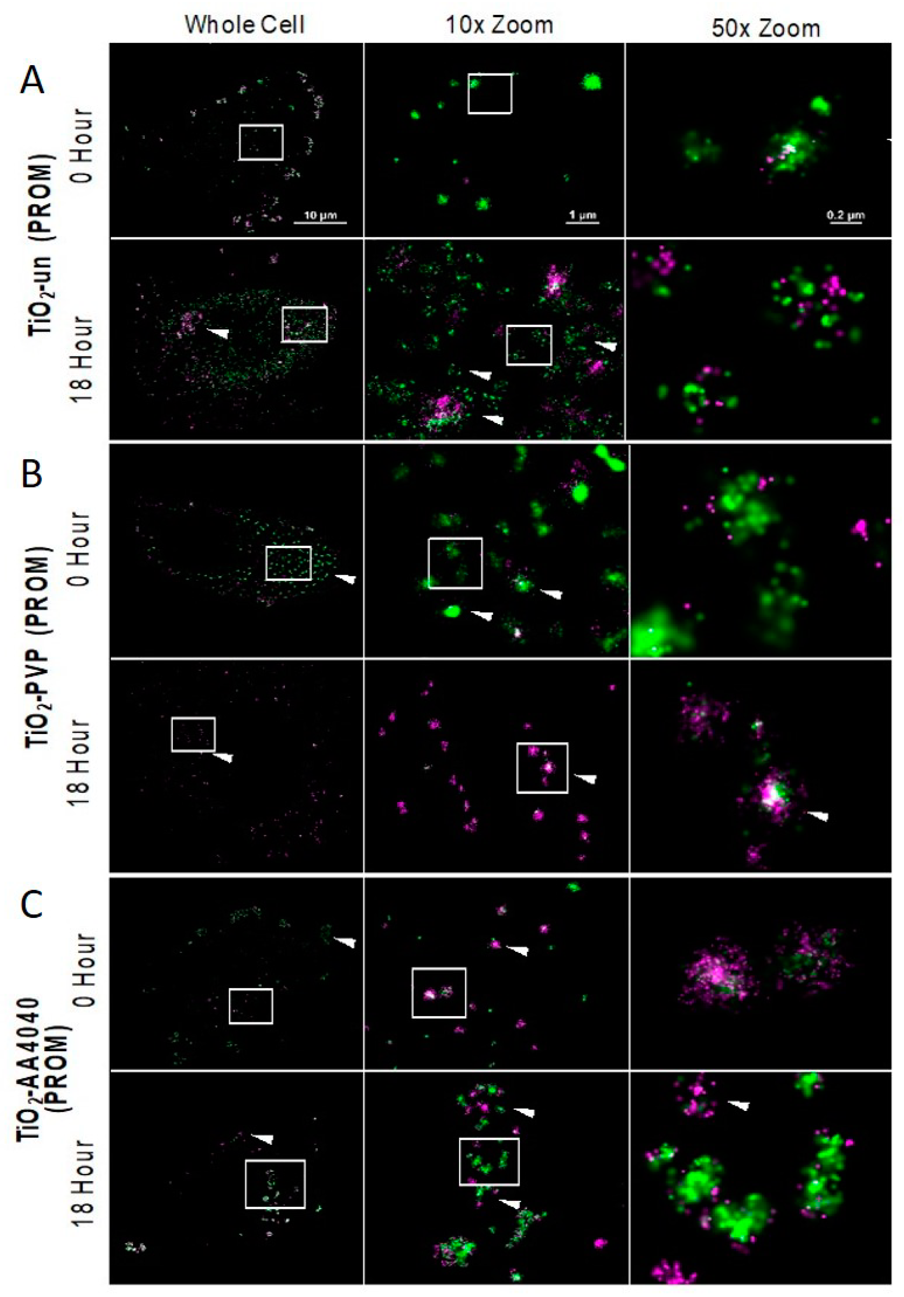 Nanomaterials 10 00401 g007
