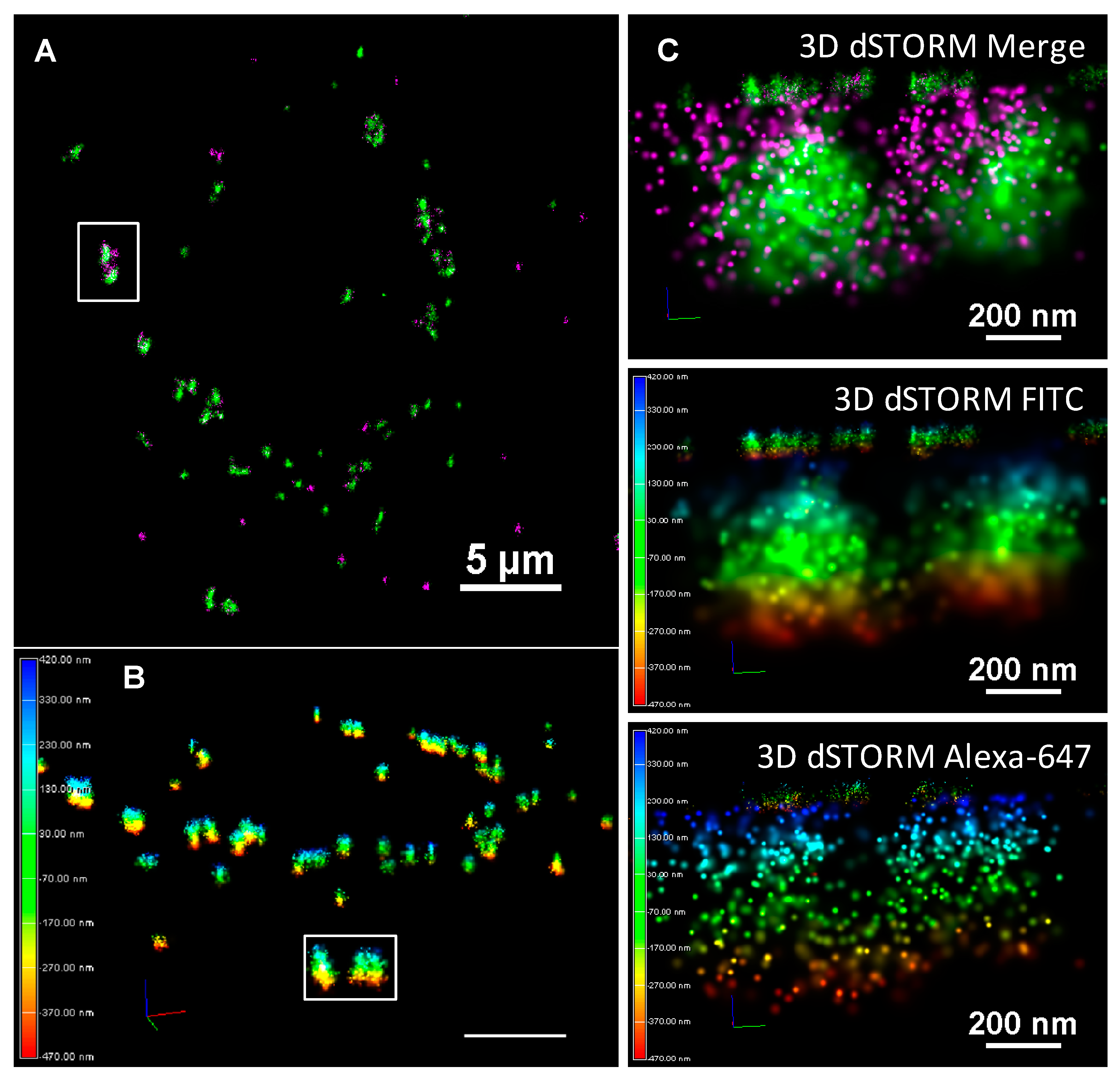 Nanomaterials 10 00401 g009