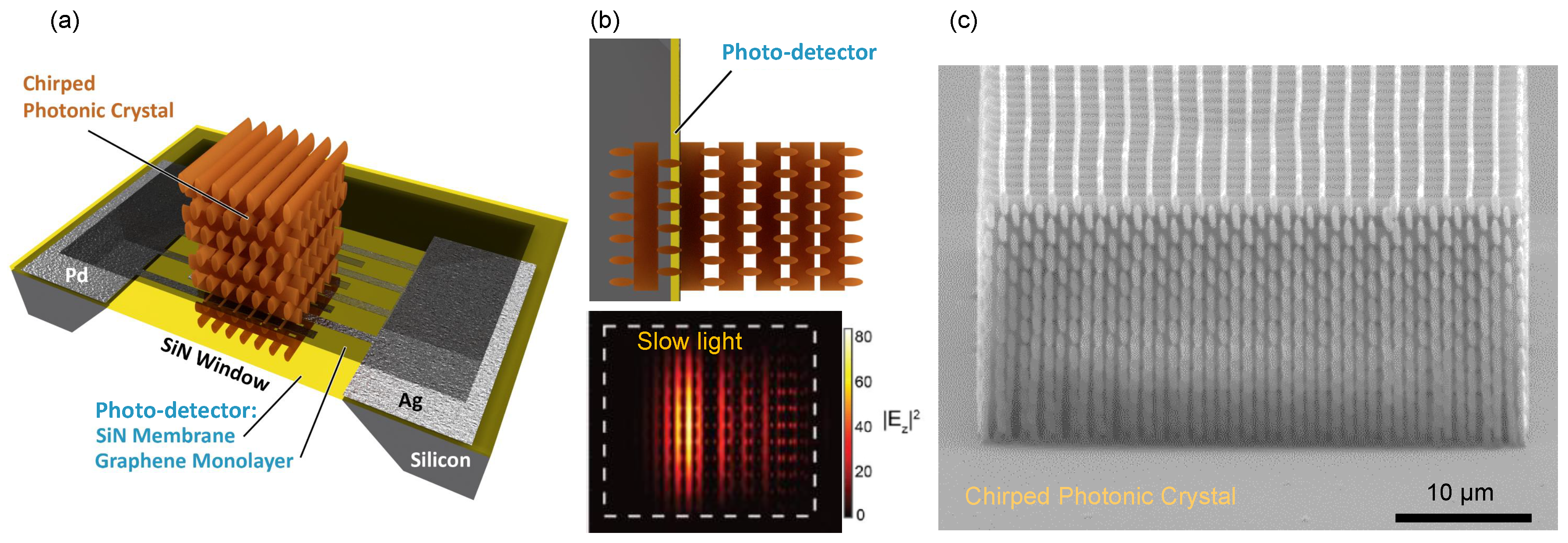 Nanomaterials 10 00407 g001