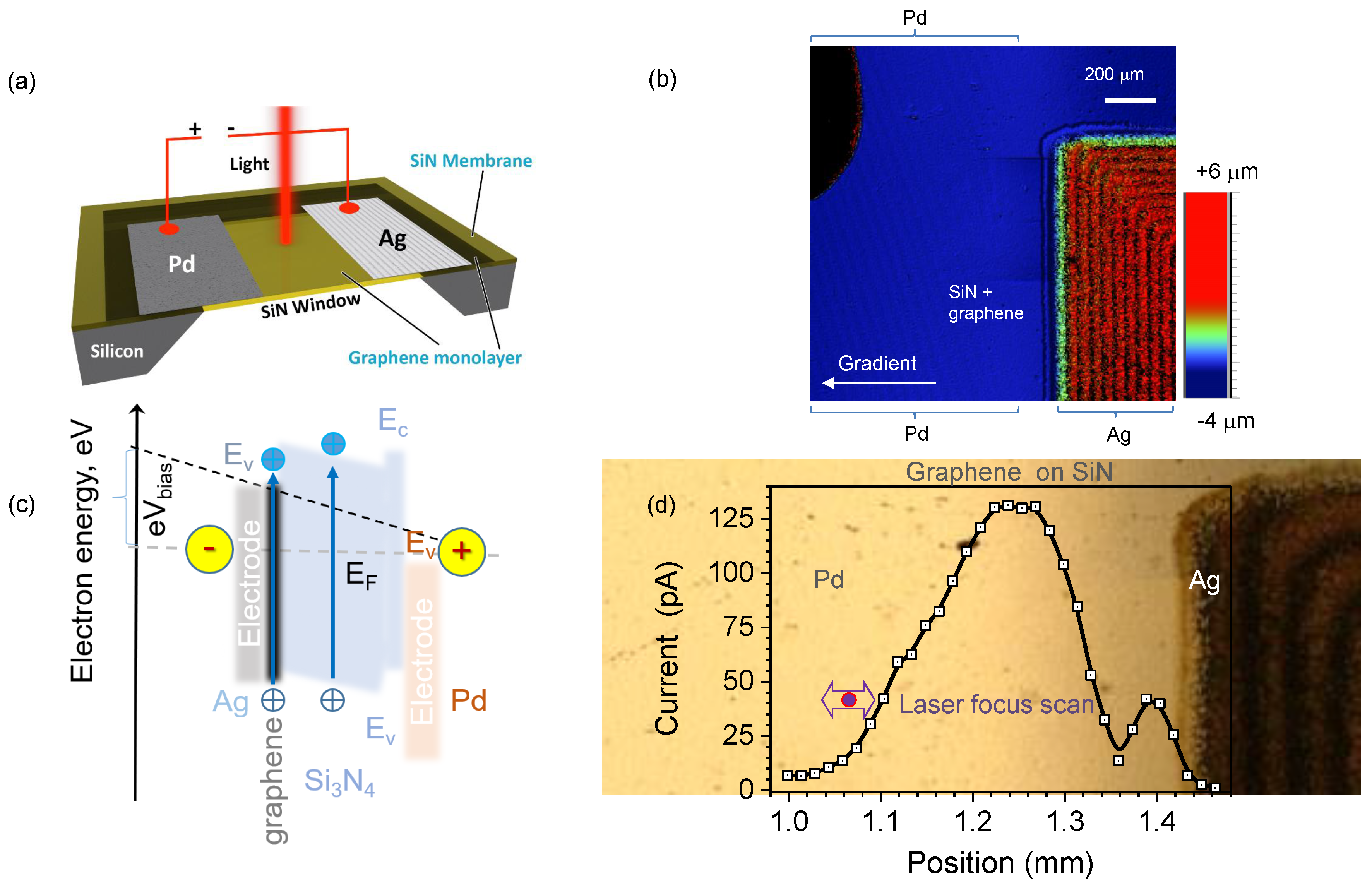Nanomaterials 10 00407 g002