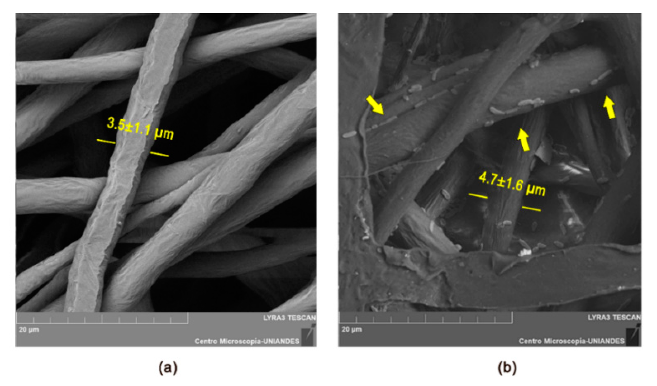 Nanomaterials 10 00408 g002