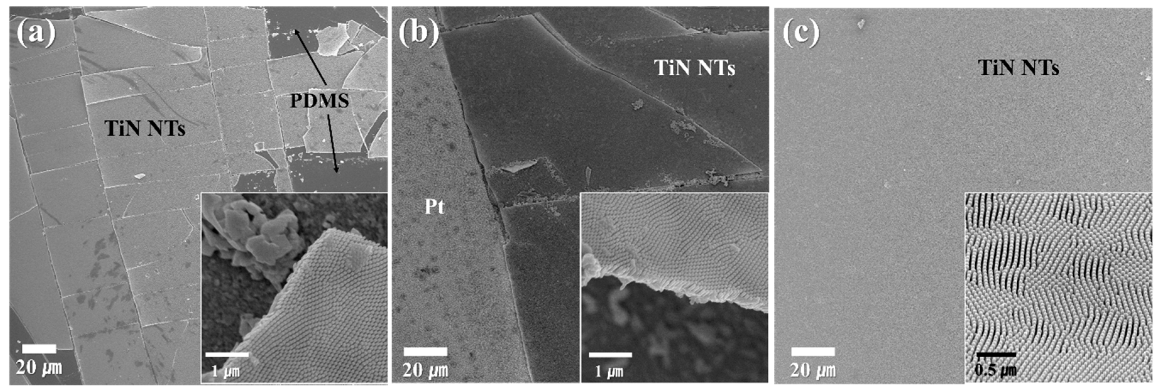 Nanomaterials 10 00409 g004 Nanomaterials 10 00409 g004