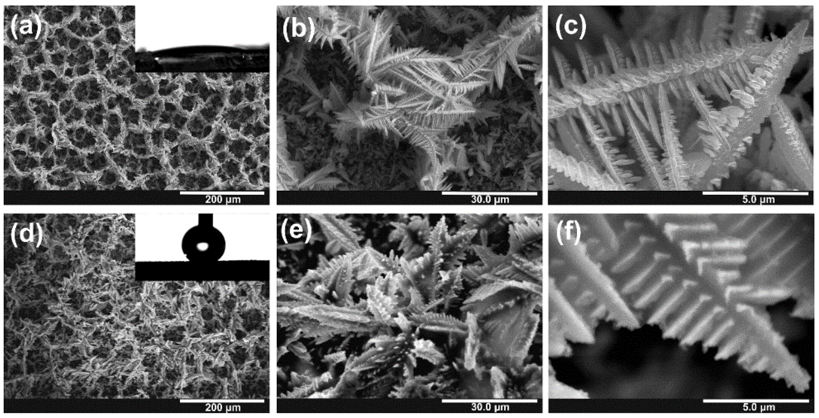 Nanomaterials 10 00410 g001 Nanomaterials 10 00410 g001