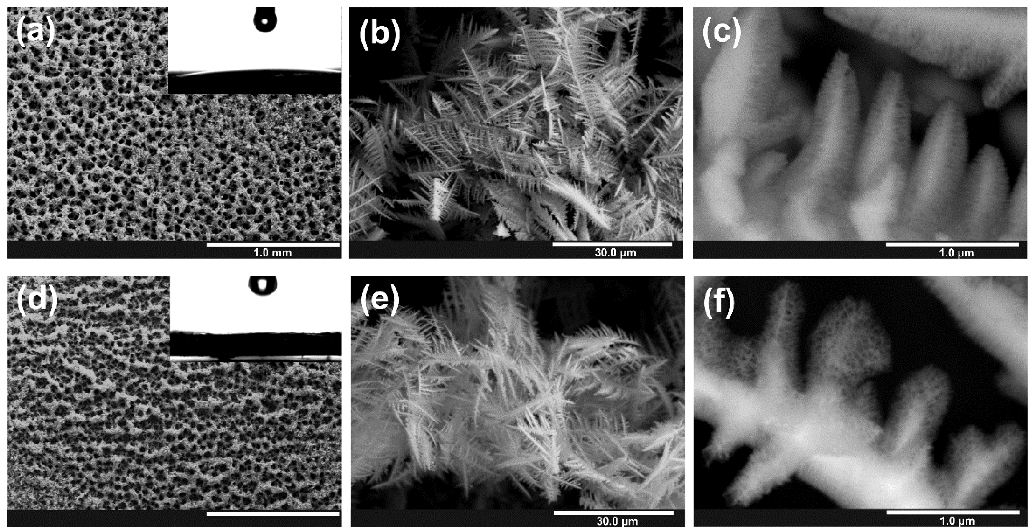 Nanomaterials 10 00410 g003 Nanomaterials 10 00410 g003