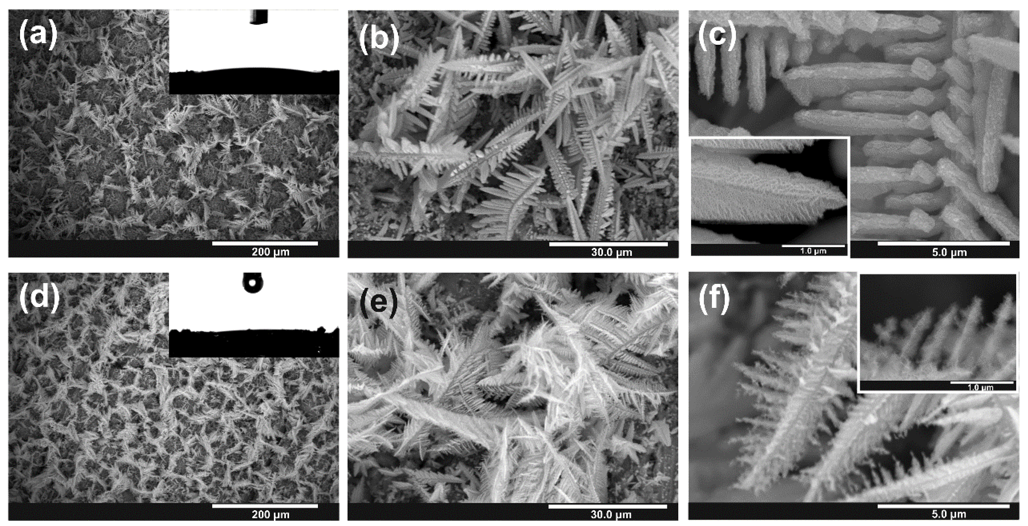 Nanomaterials 10 00410 g004 Nanomaterials 10 00410 g004