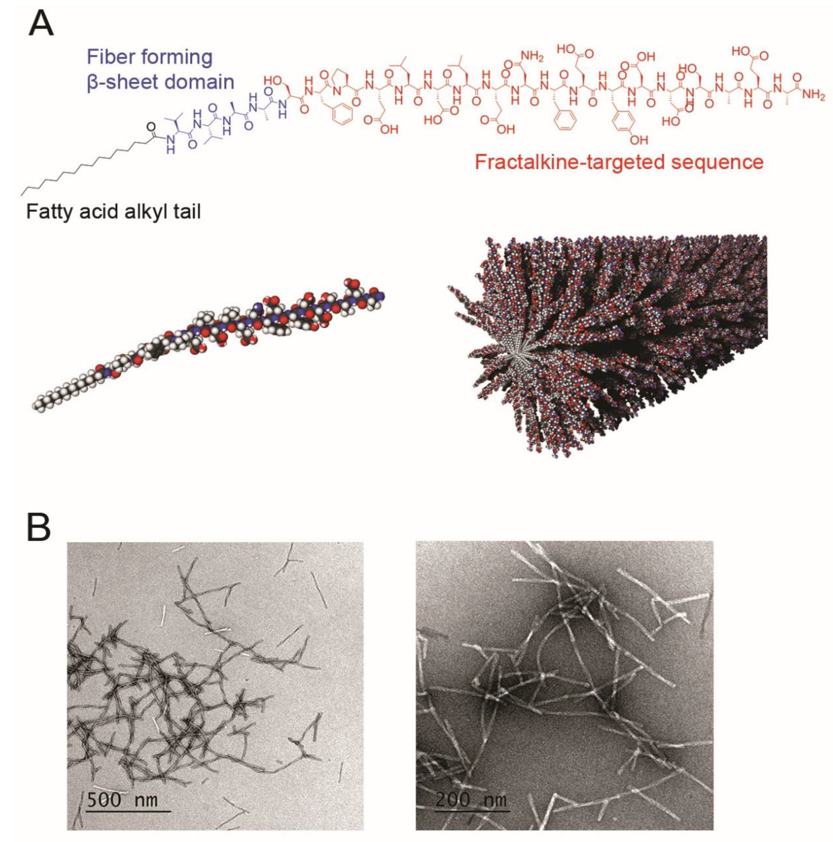 Nanomaterials 10 00420 g002