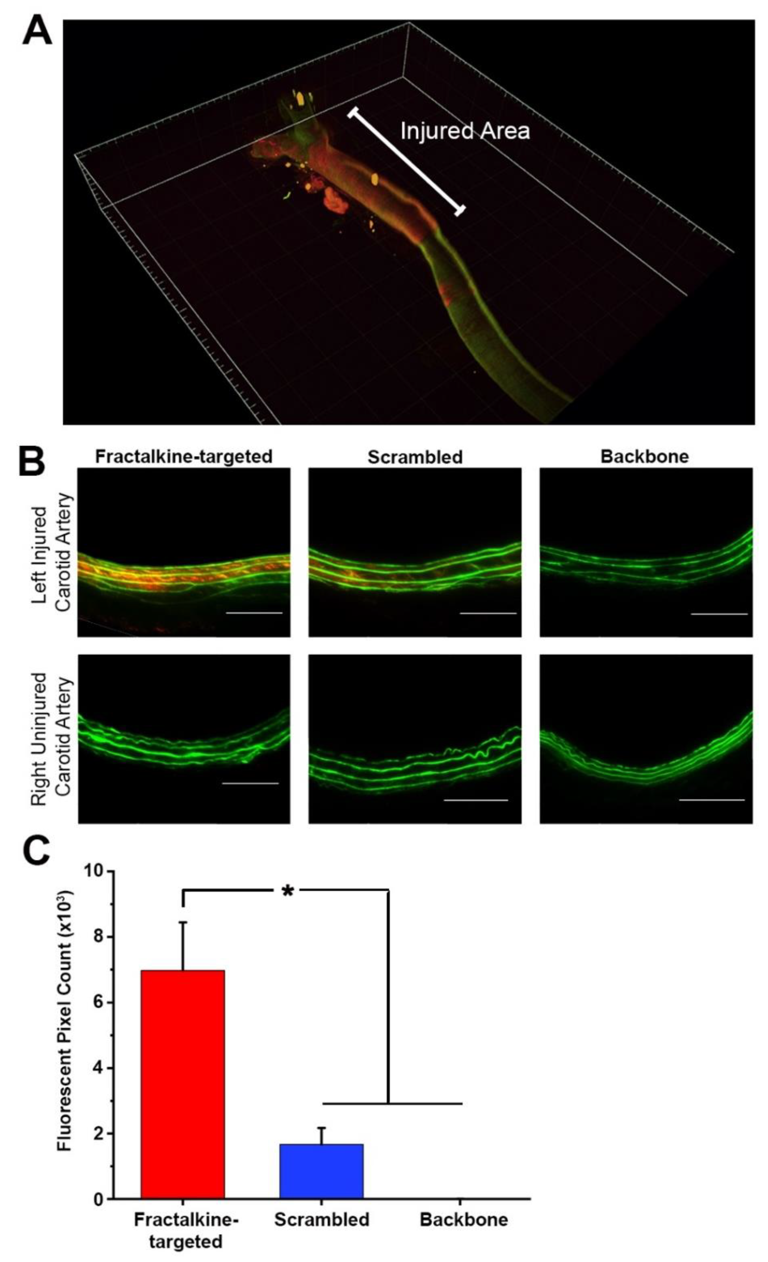 Nanomaterials 10 00420 g003