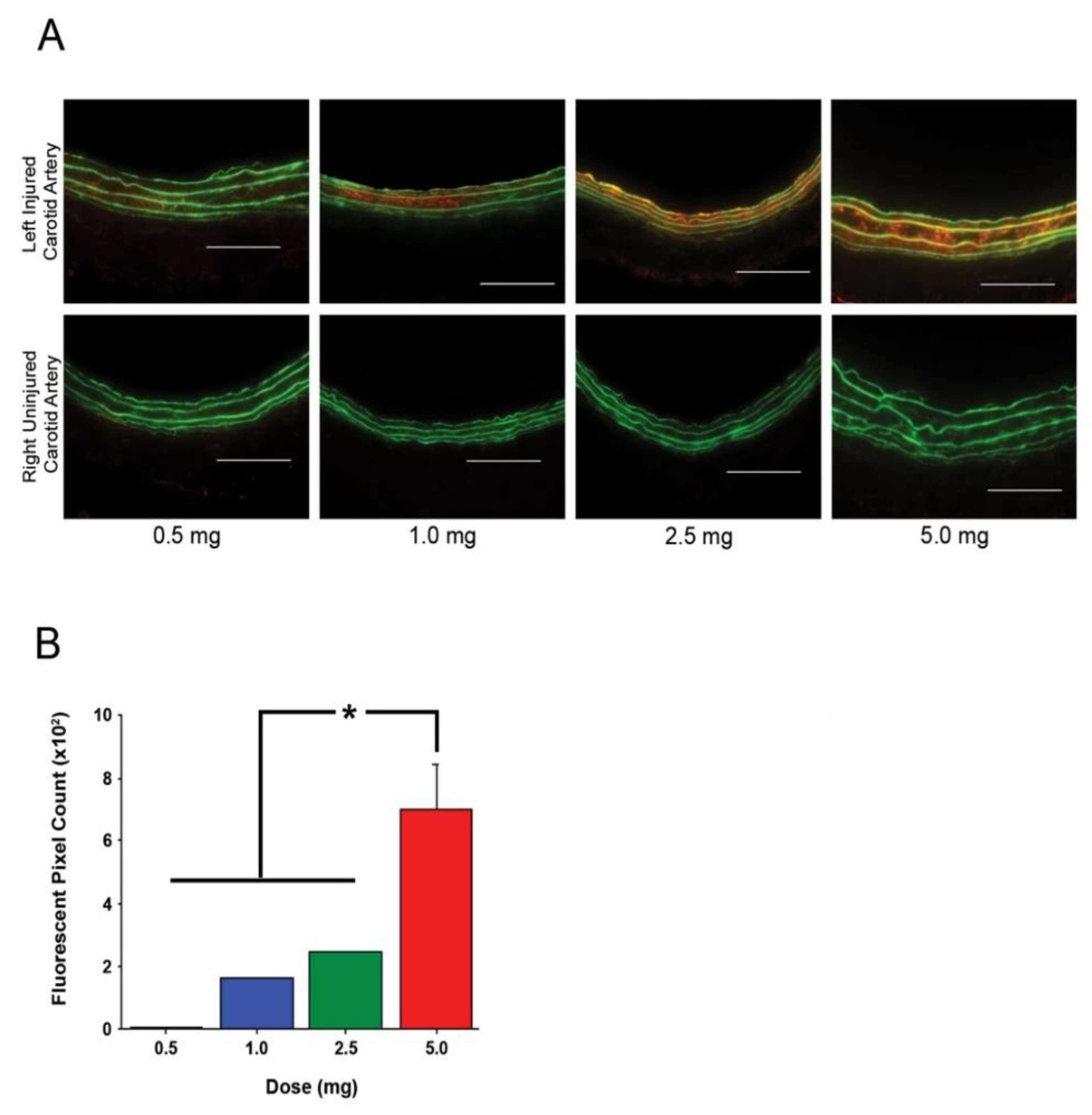 Nanomaterials 10 00420 g004