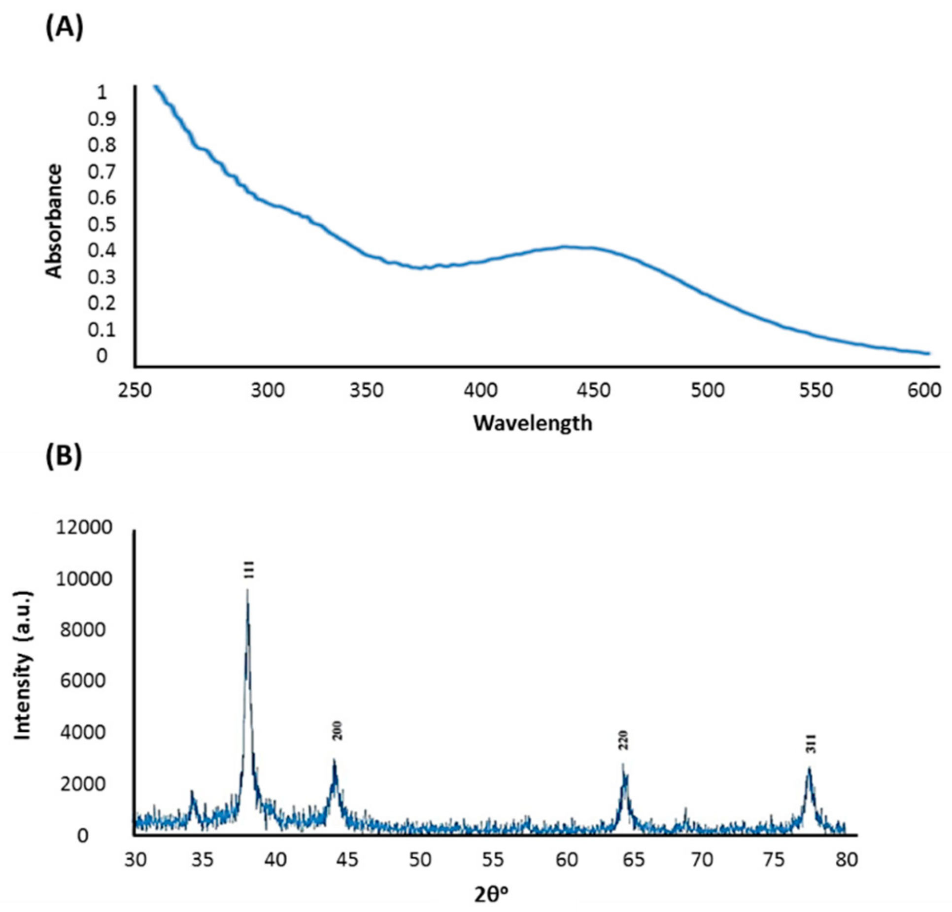 Nanomaterials 10 00422 g002