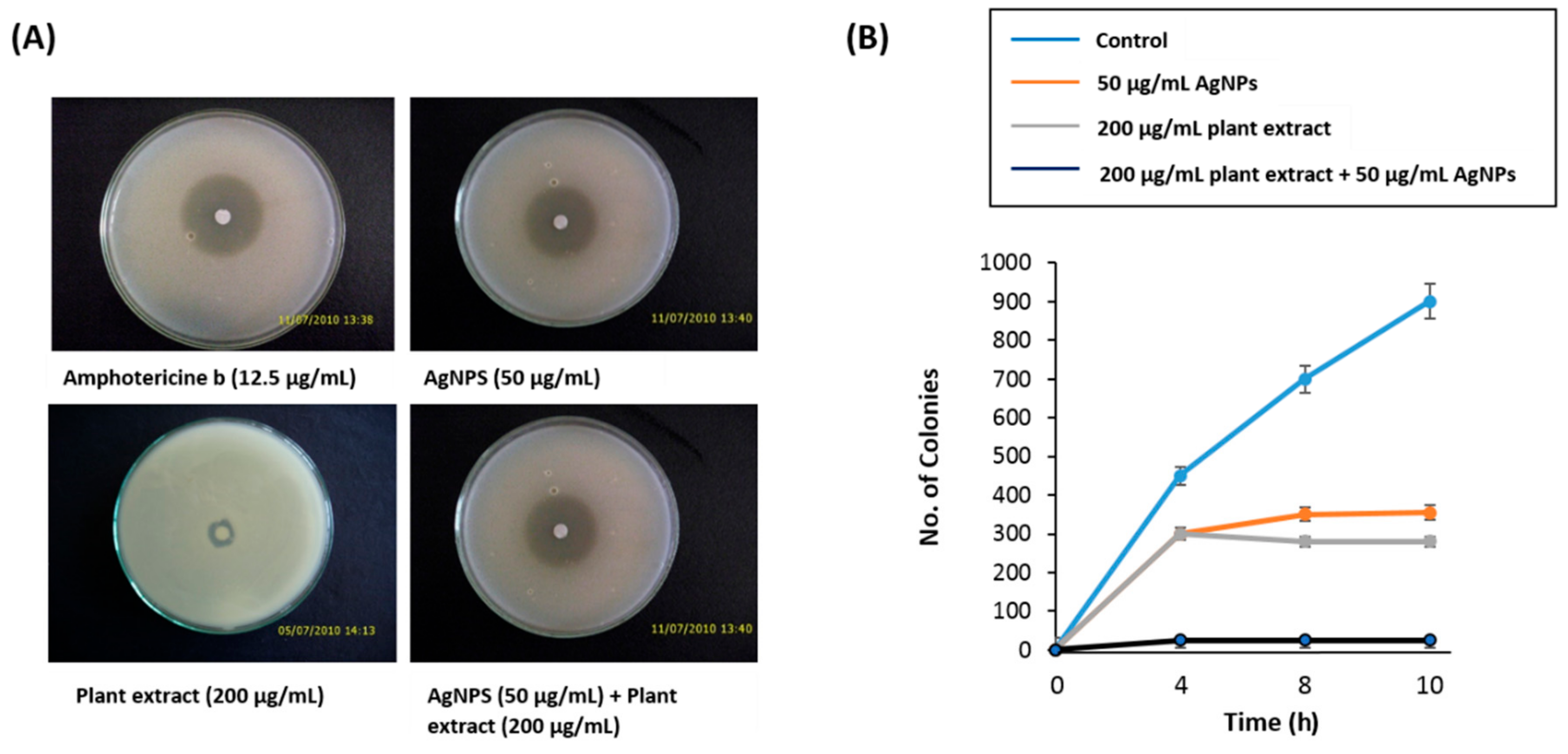 Nanomaterials 10 00422 g004