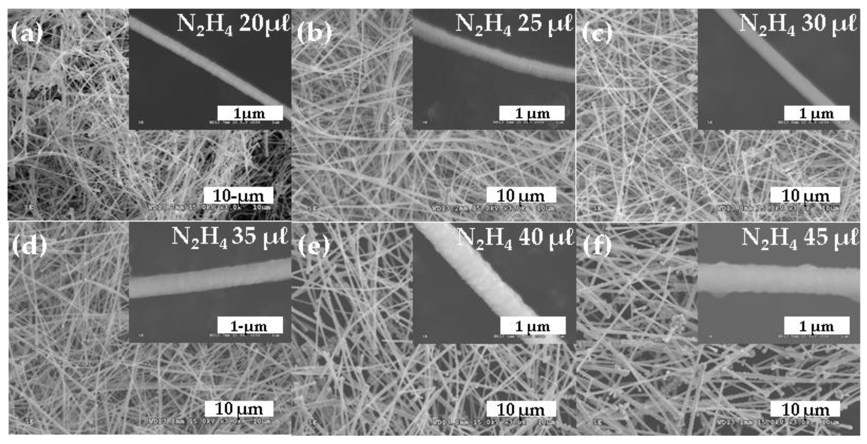 Nanomaterials 10 00423 g002 Nanomaterials 10 00423 g002