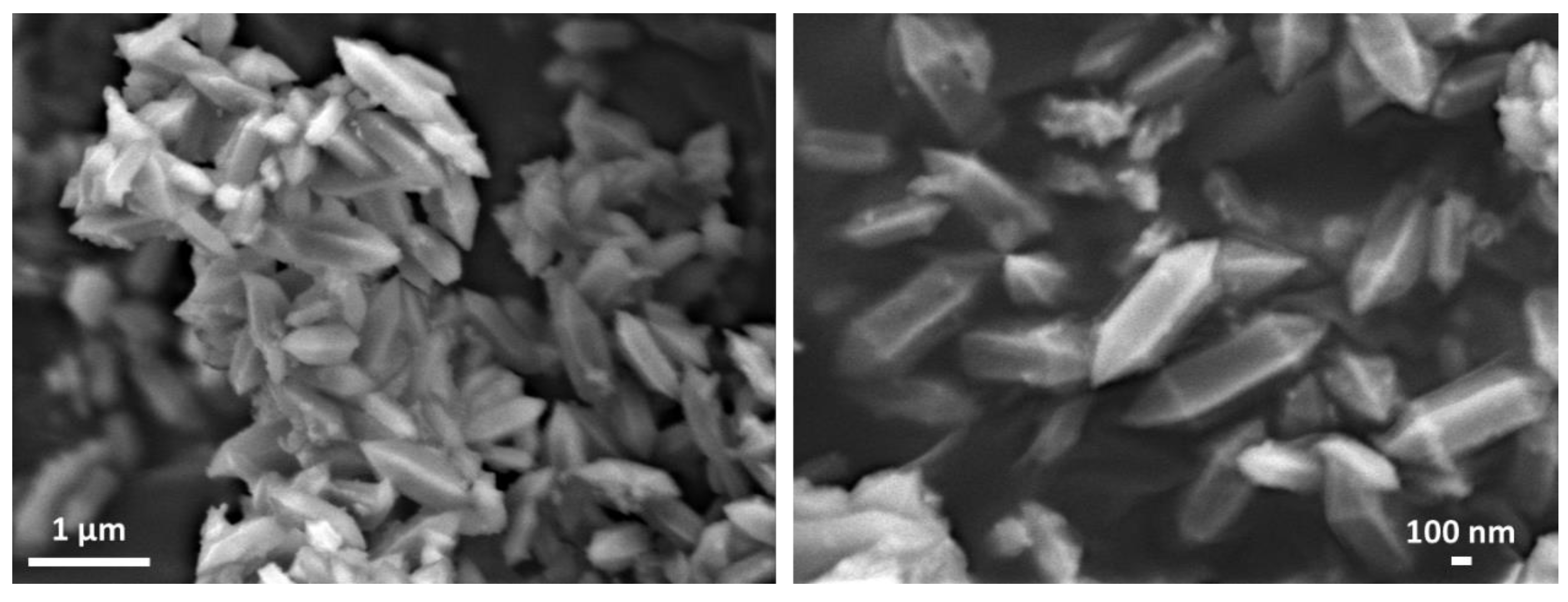 Nanomaterials 10 00424 g002