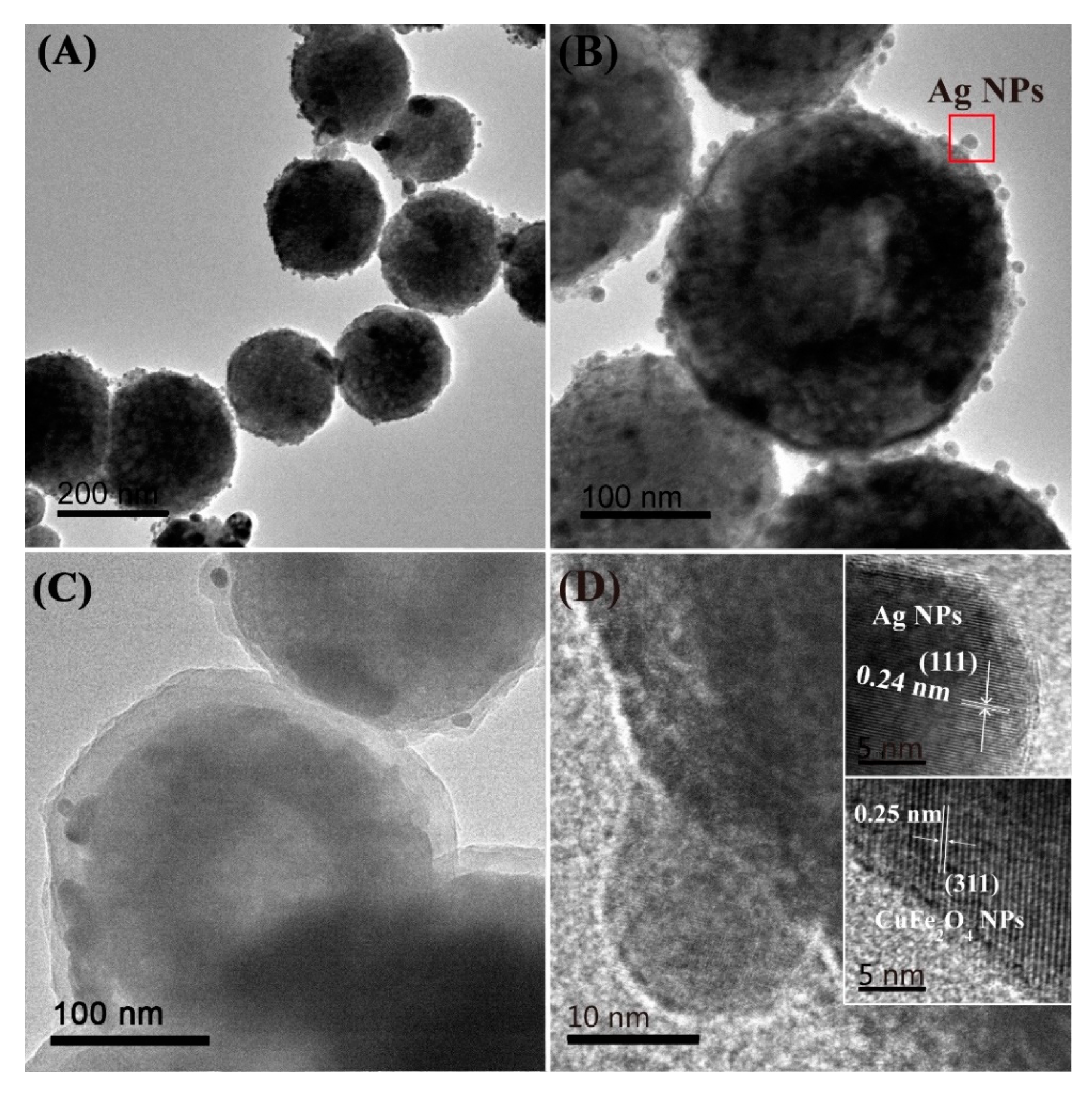 Nanomaterials 10 00426 g001 Nanomaterials 10 00426 g001