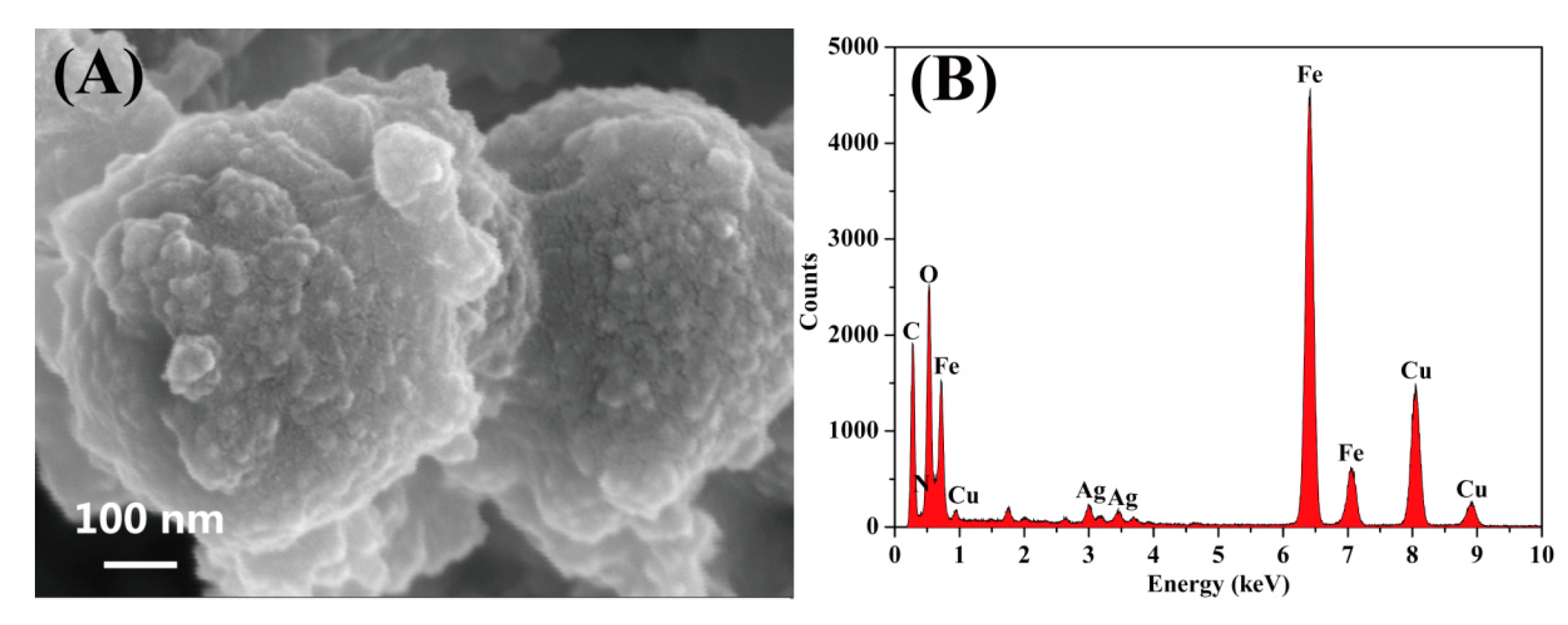 Nanomaterials 10 00426 g002 Nanomaterials 10 00426 g002