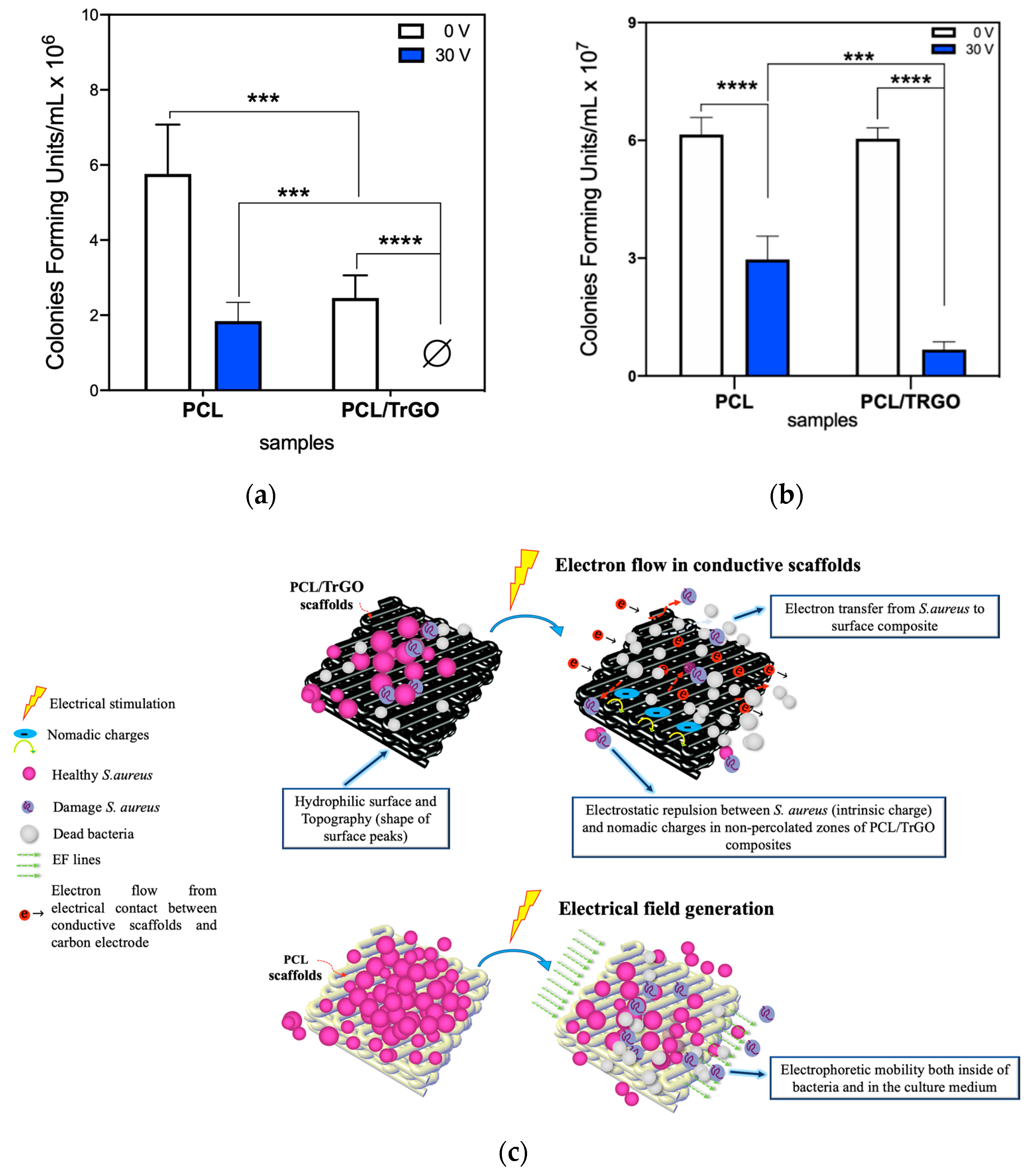 Nanomaterials 10 00428 g007