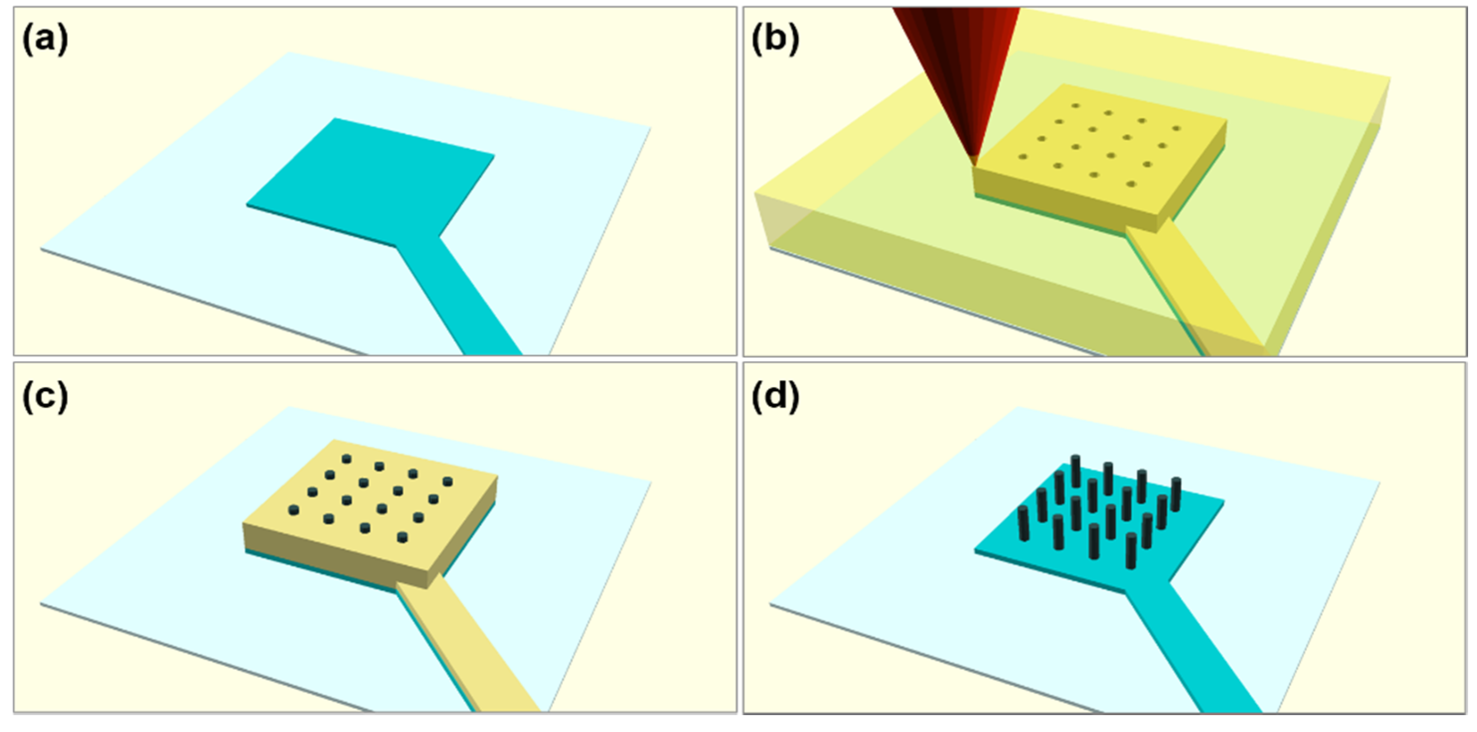 Nanomaterials 10 00429 g001