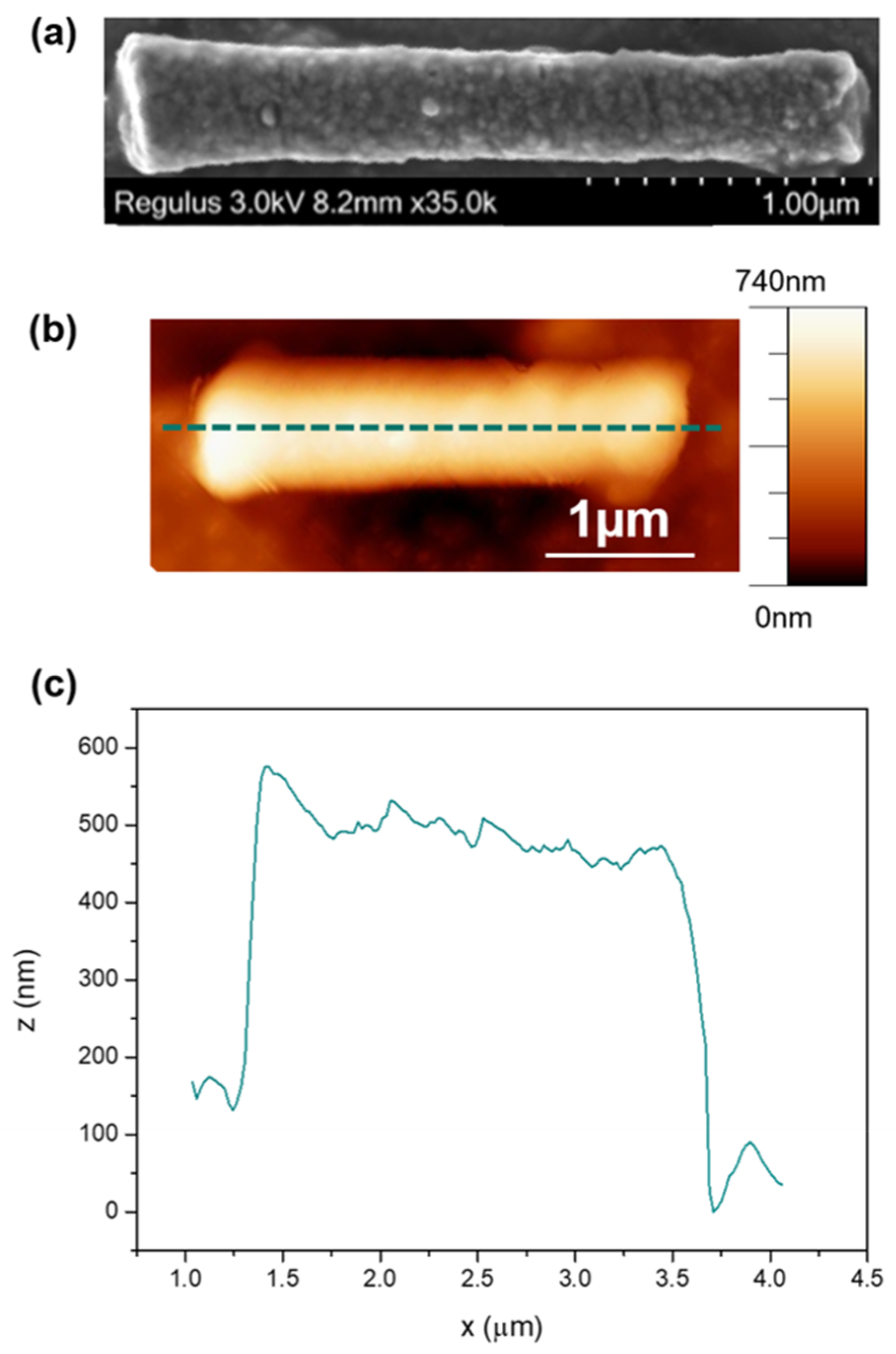 Nanomaterials 10 00429 g002