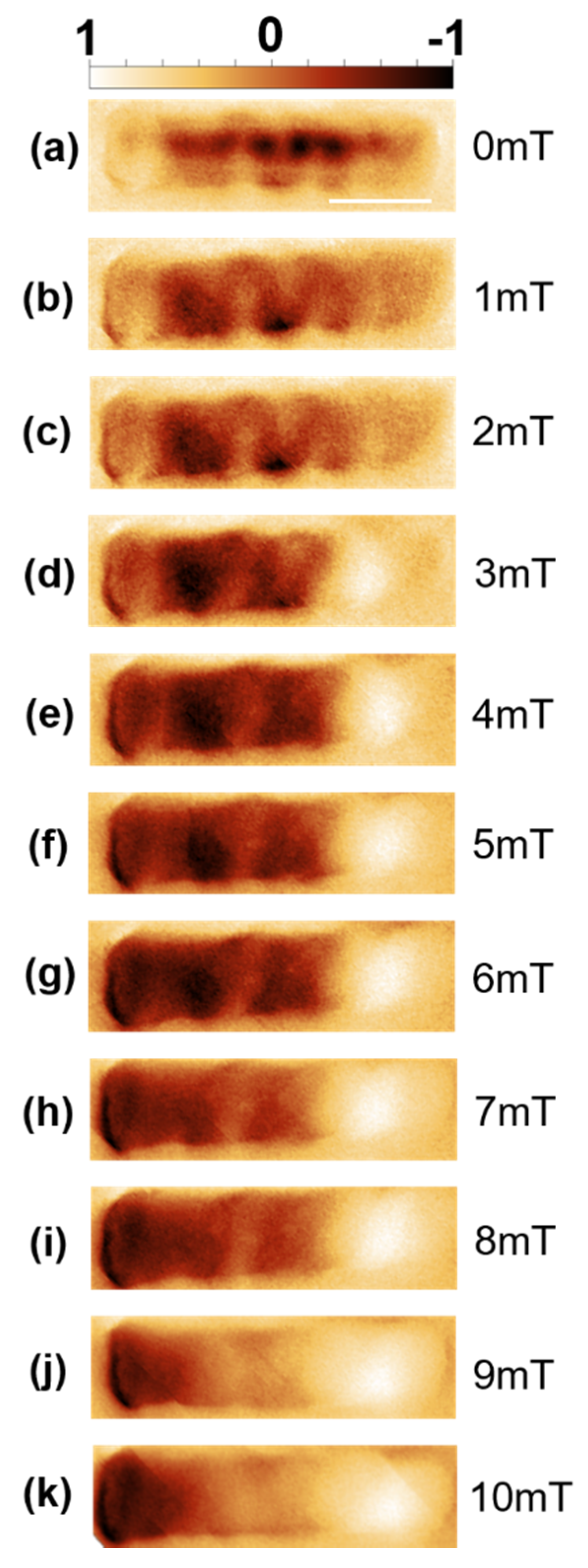 Nanomaterials 10 00429 g003