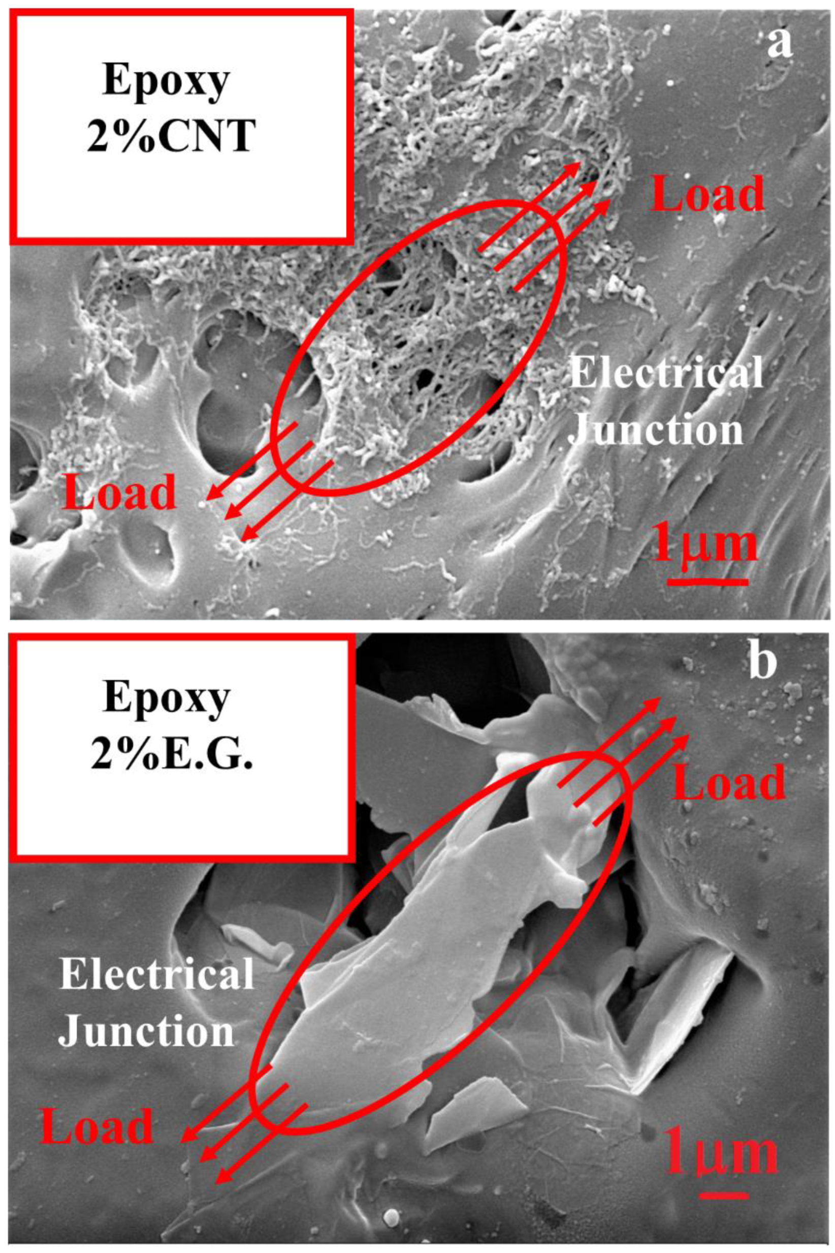Nanomaterials 10 00434 g007