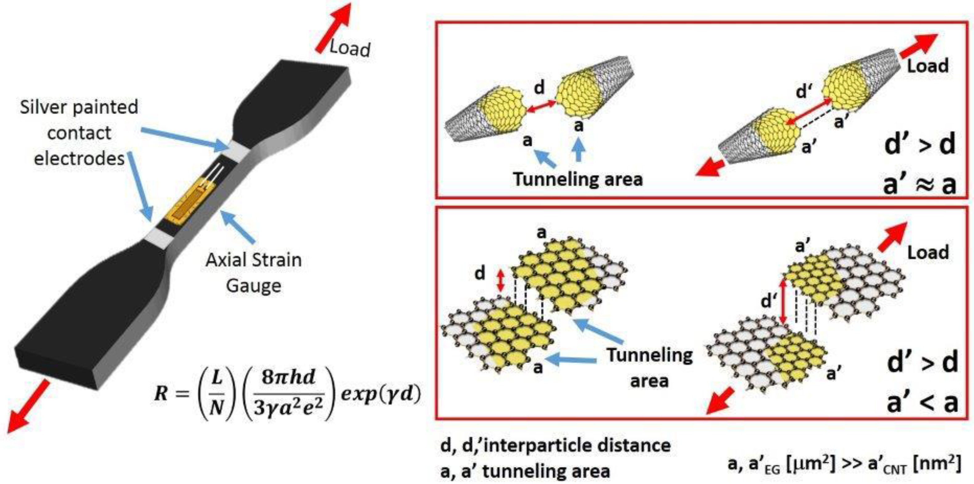 Nanomaterials 10 00434 g008