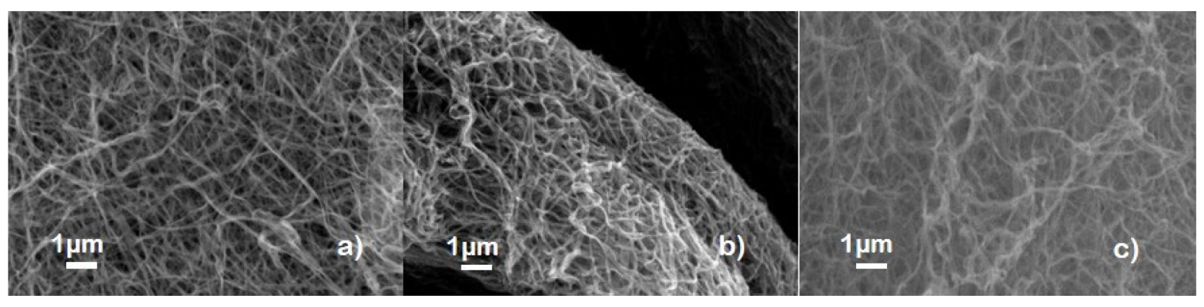 Nanomaterials 10 00435 g002a