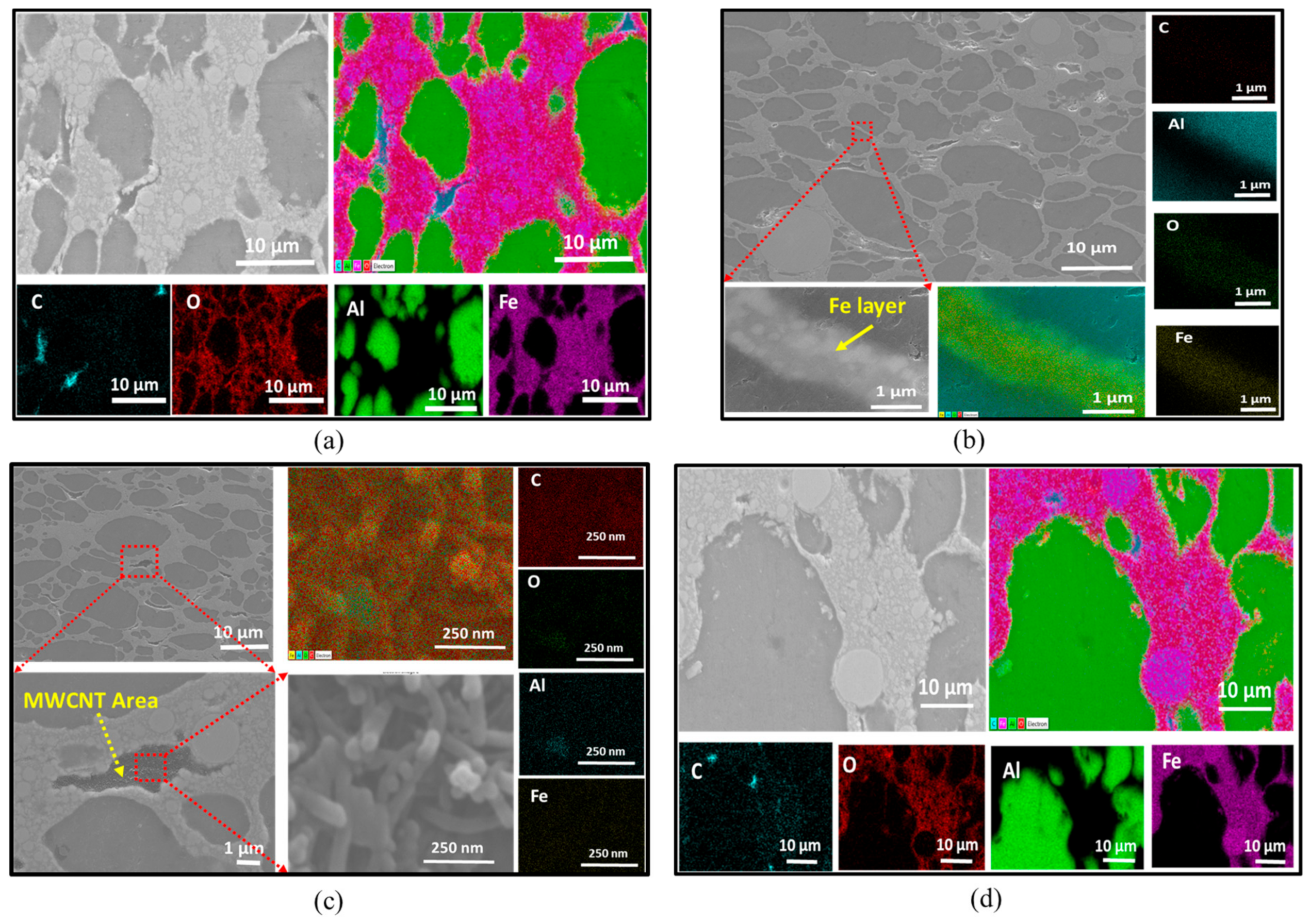 Nanomaterials 10 00436 g003