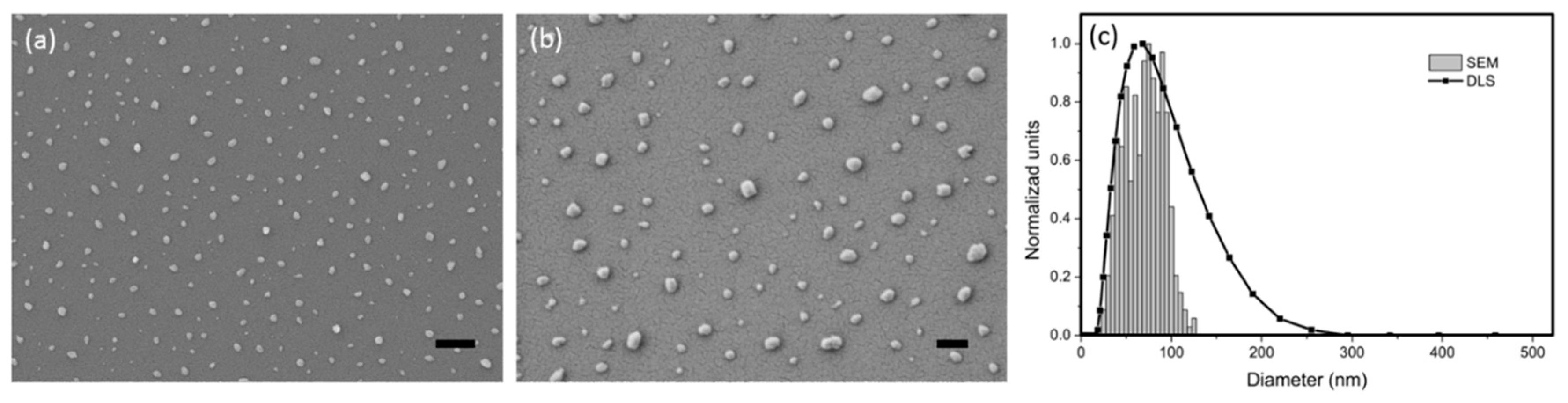 Nanomaterials 10 00442 g001