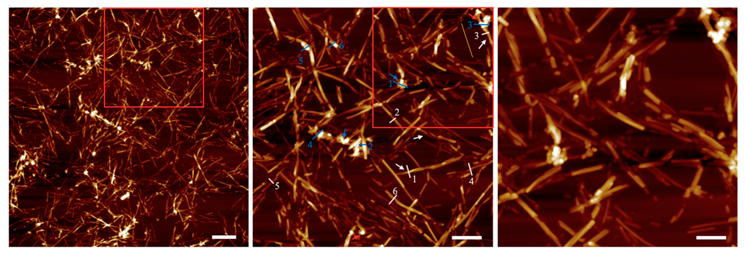 Nanomaterials 10 00442 g003