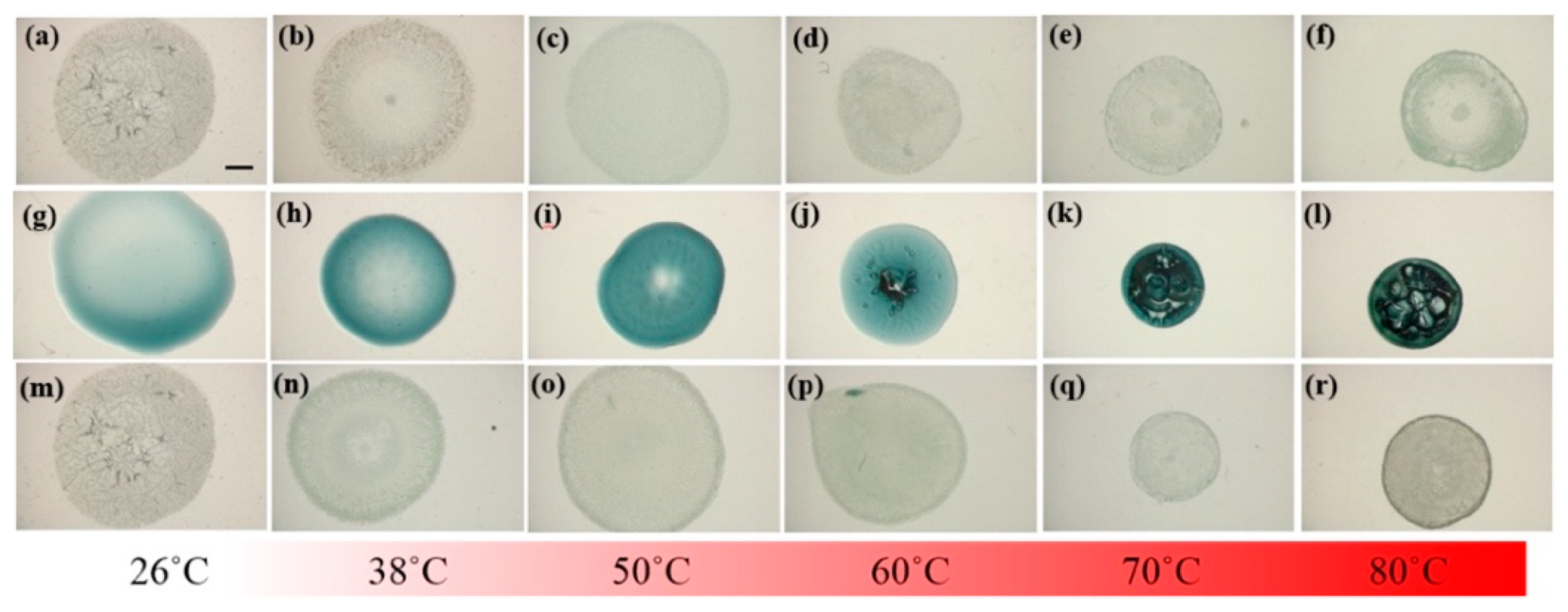 Nanomaterials 10 00442 g005