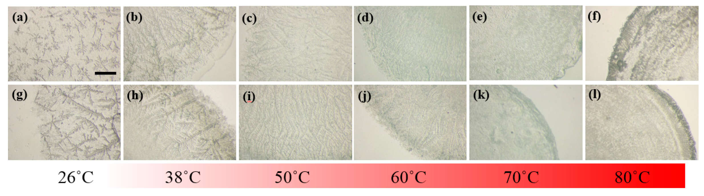 Nanomaterials 10 00442 g006