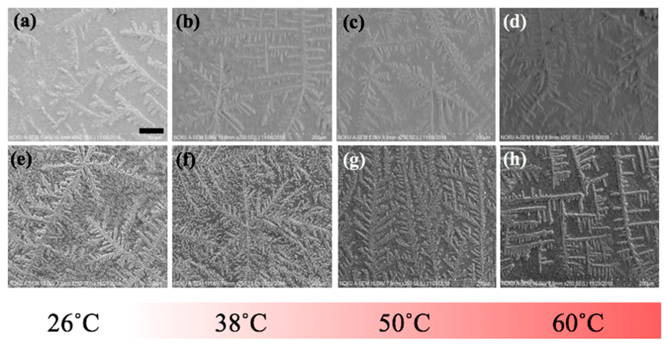 Nanomaterials 10 00442 g007