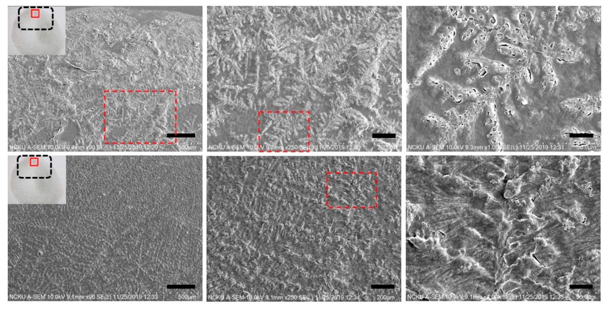 Nanomaterials 10 00442 g009
