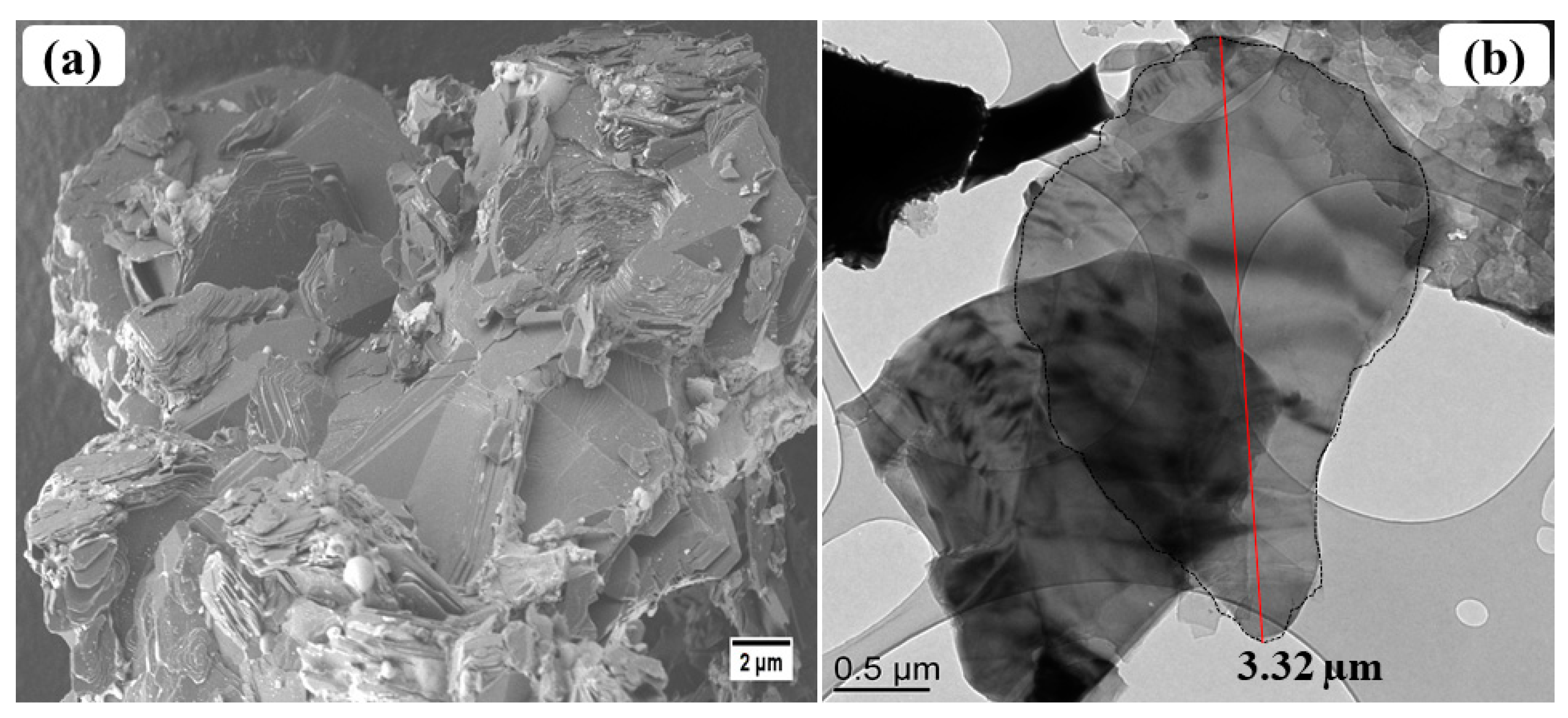 Nanomaterials 10 00443 g005 Nanomaterials 10 00443 g005