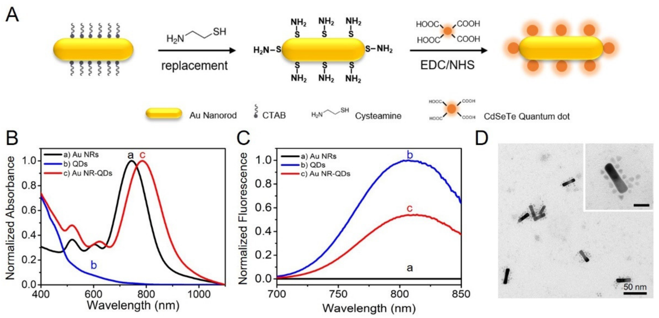 Nanomaterials 10 00444 g001
