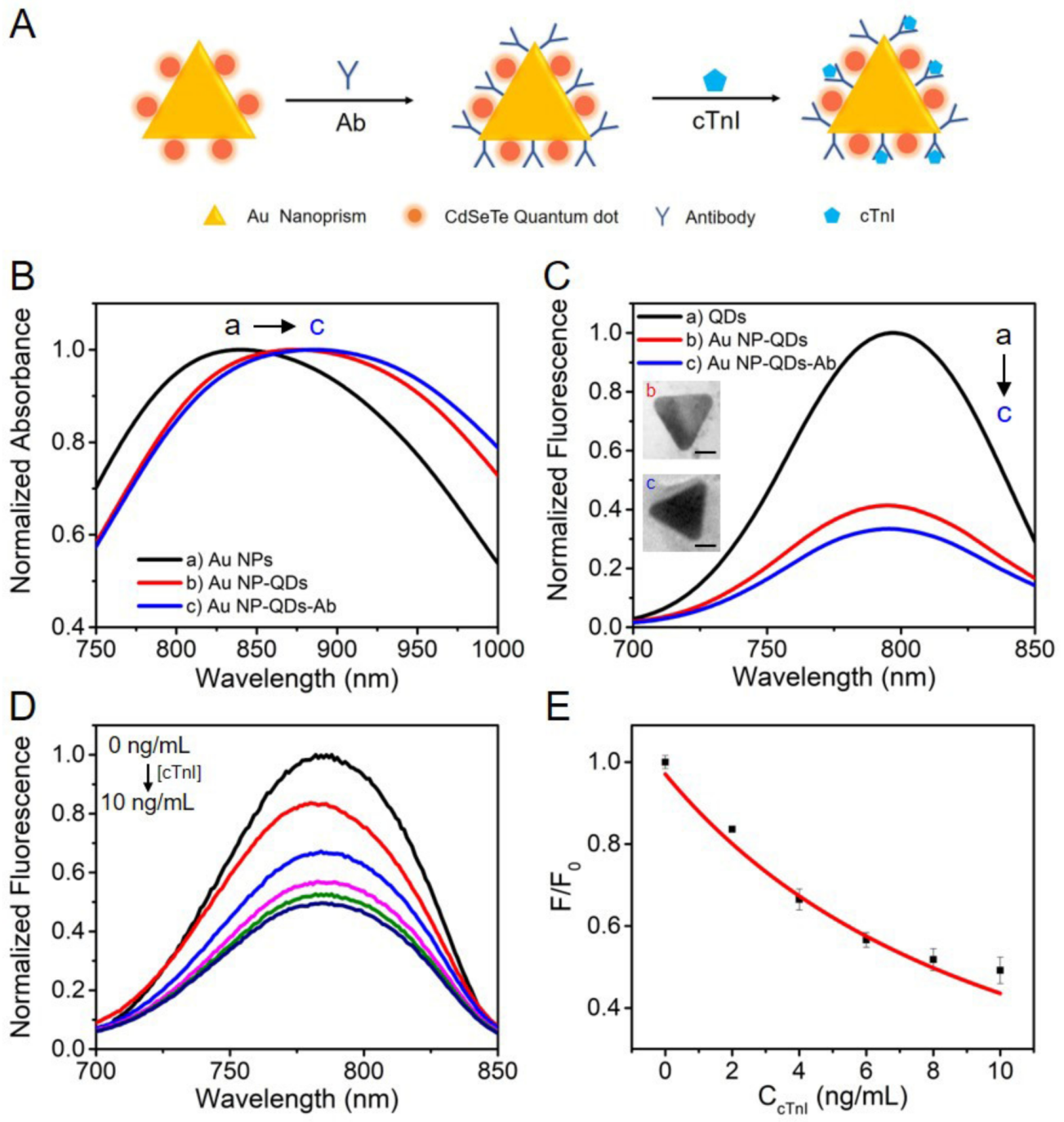 Nanomaterials 10 00444 g005