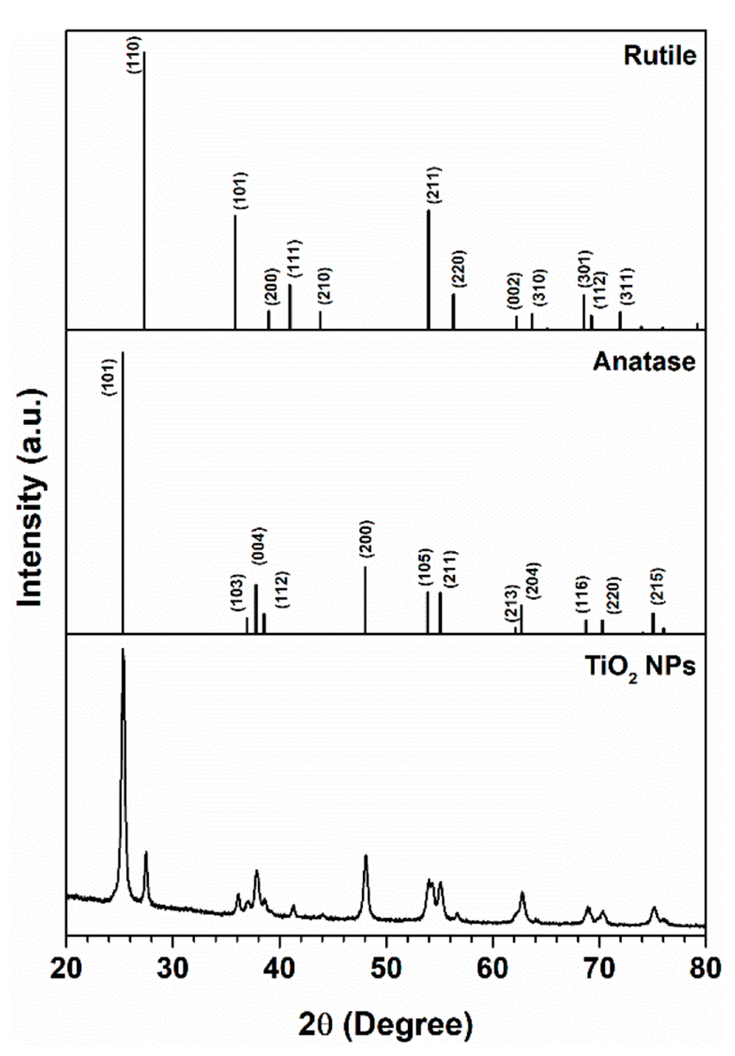 Nanomaterials 10 00447 g001