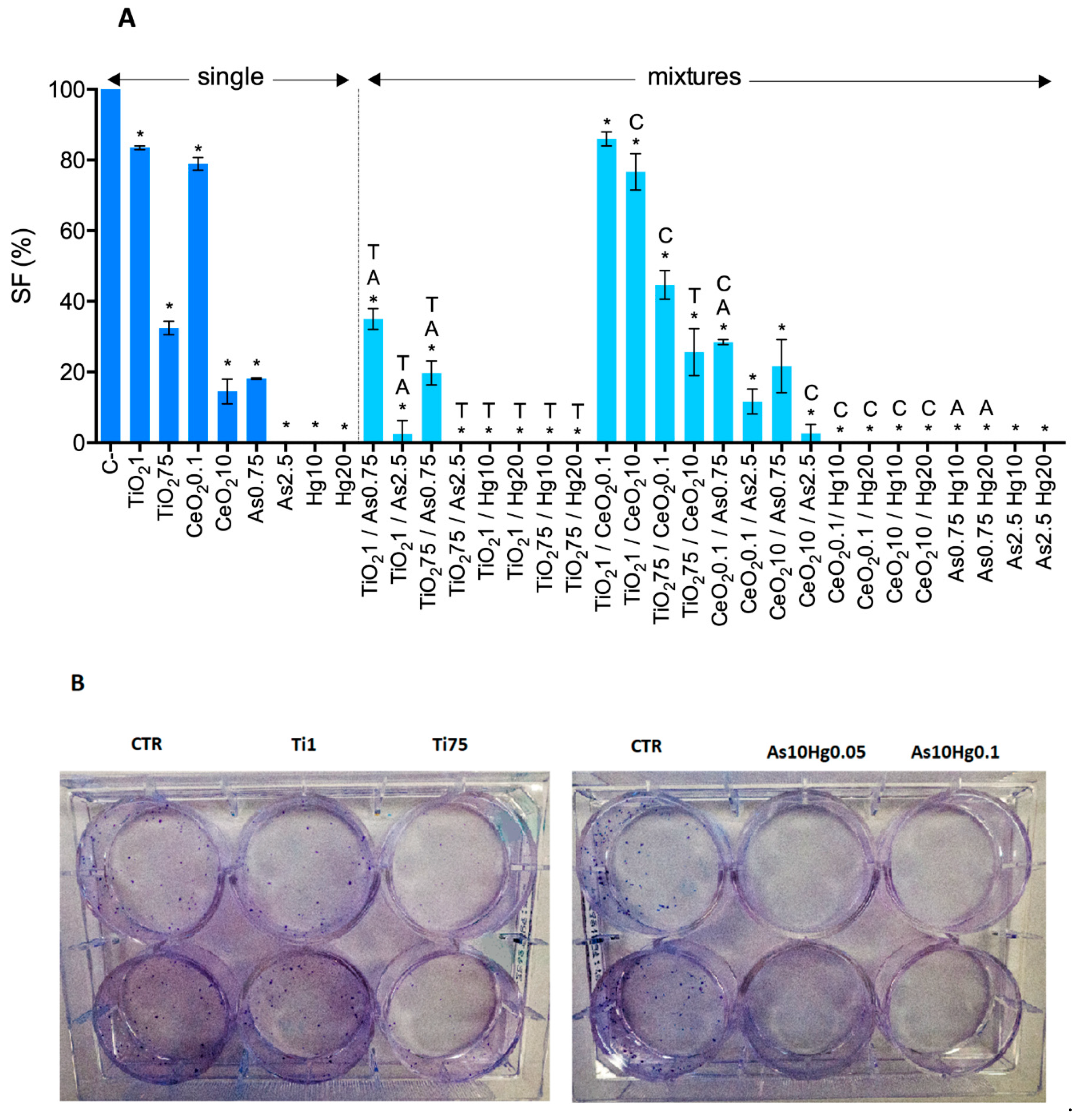 Nanomaterials 10 00447 g010