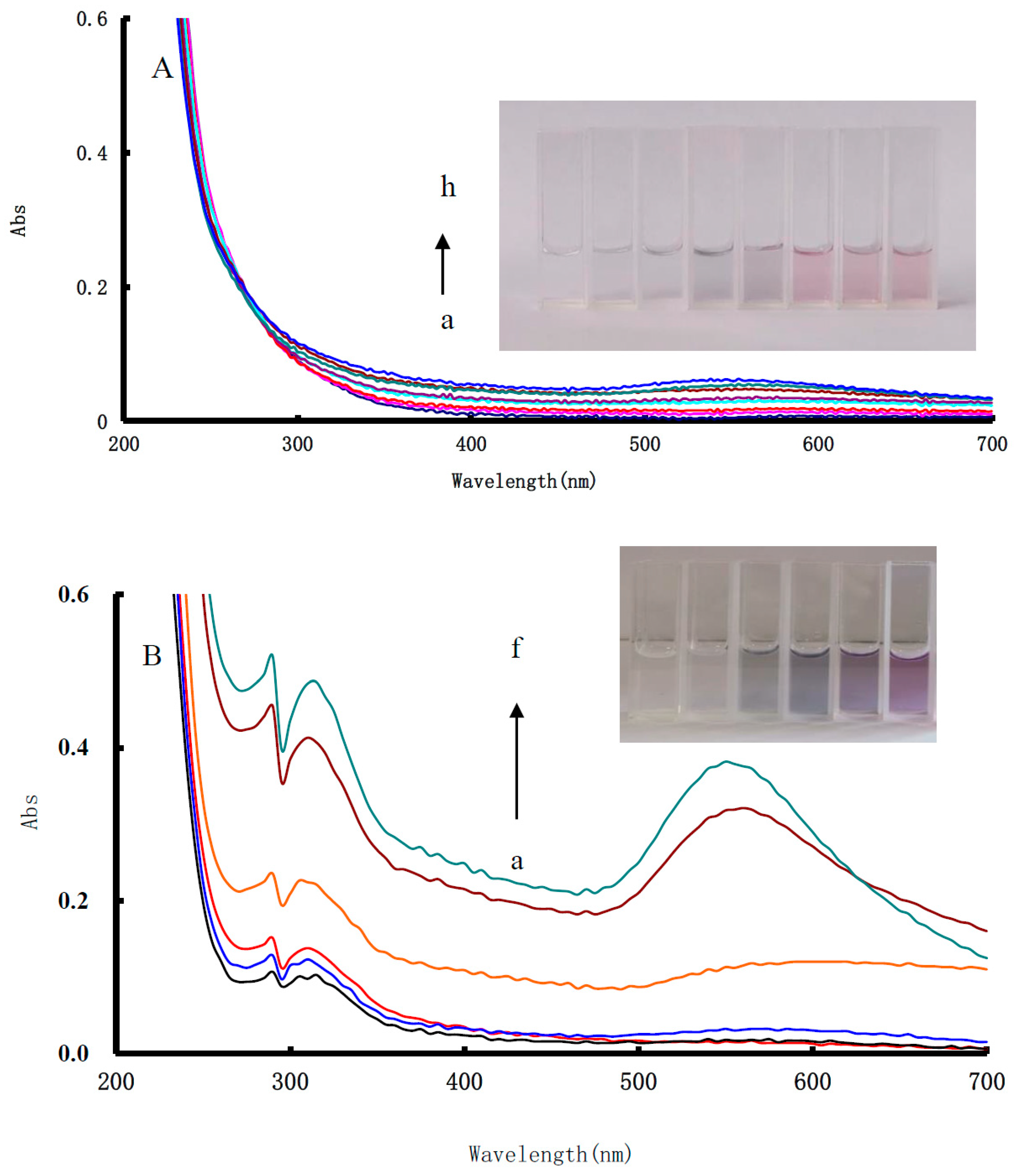 Nanomaterials 10 00450 g004