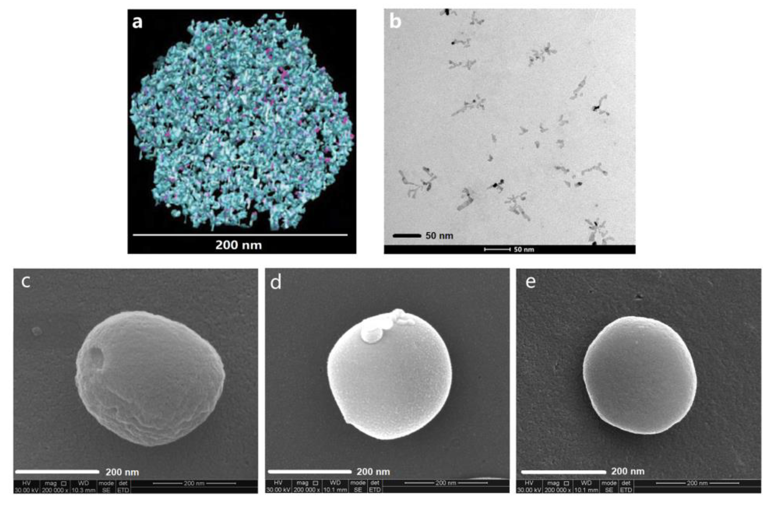 Nanomaterials 10 00451 g001