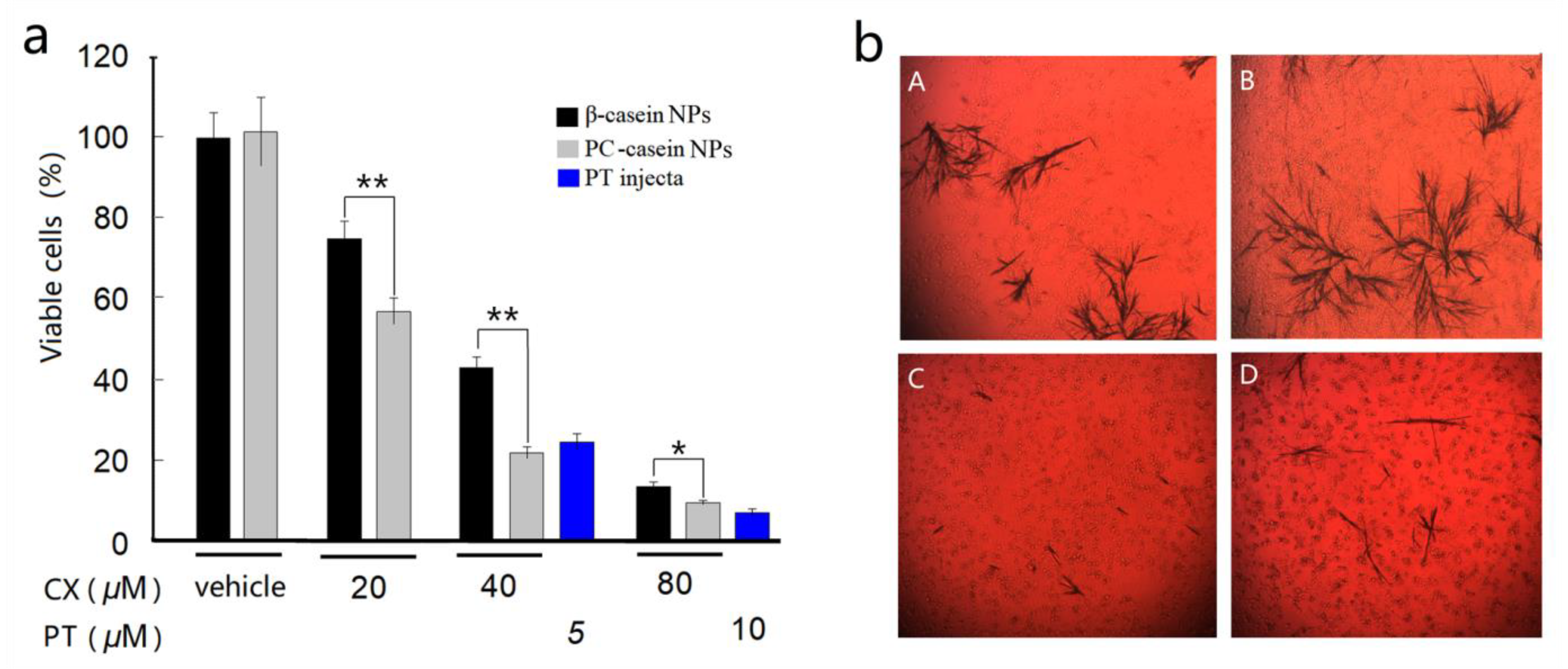 Nanomaterials 10 00451 g003