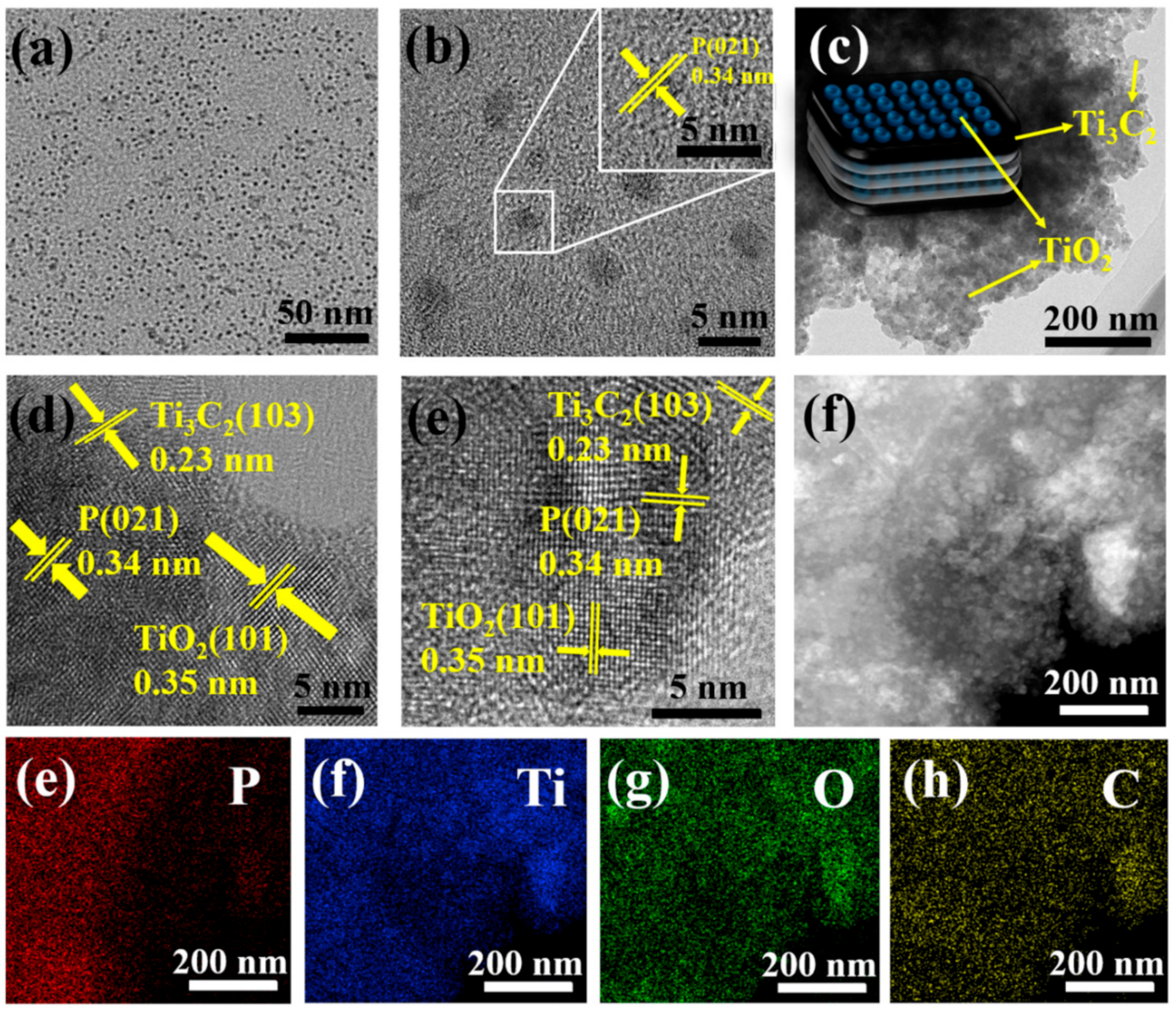 Nanomaterials 10 00452 g005 Nanomaterials 10 00452 g005