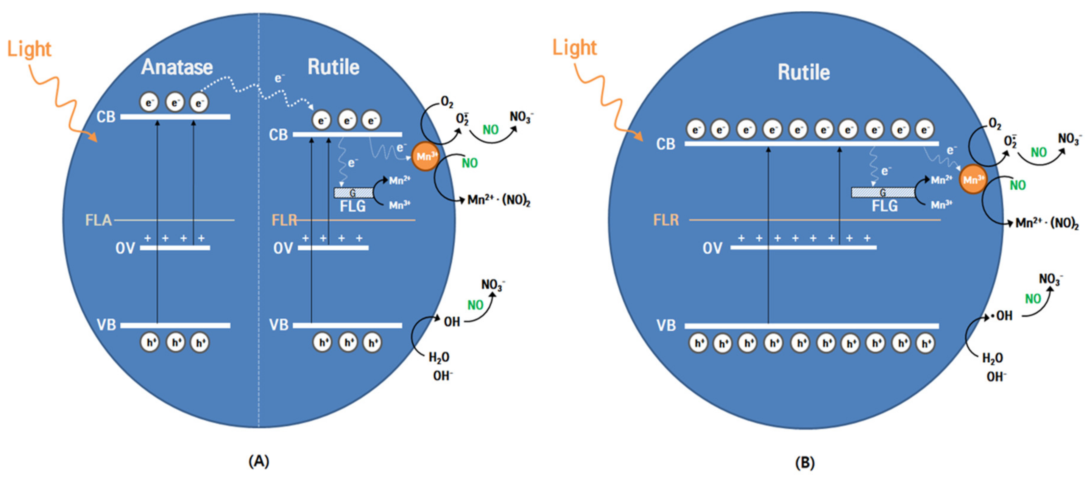 Nanomaterials 10 00456 sch001