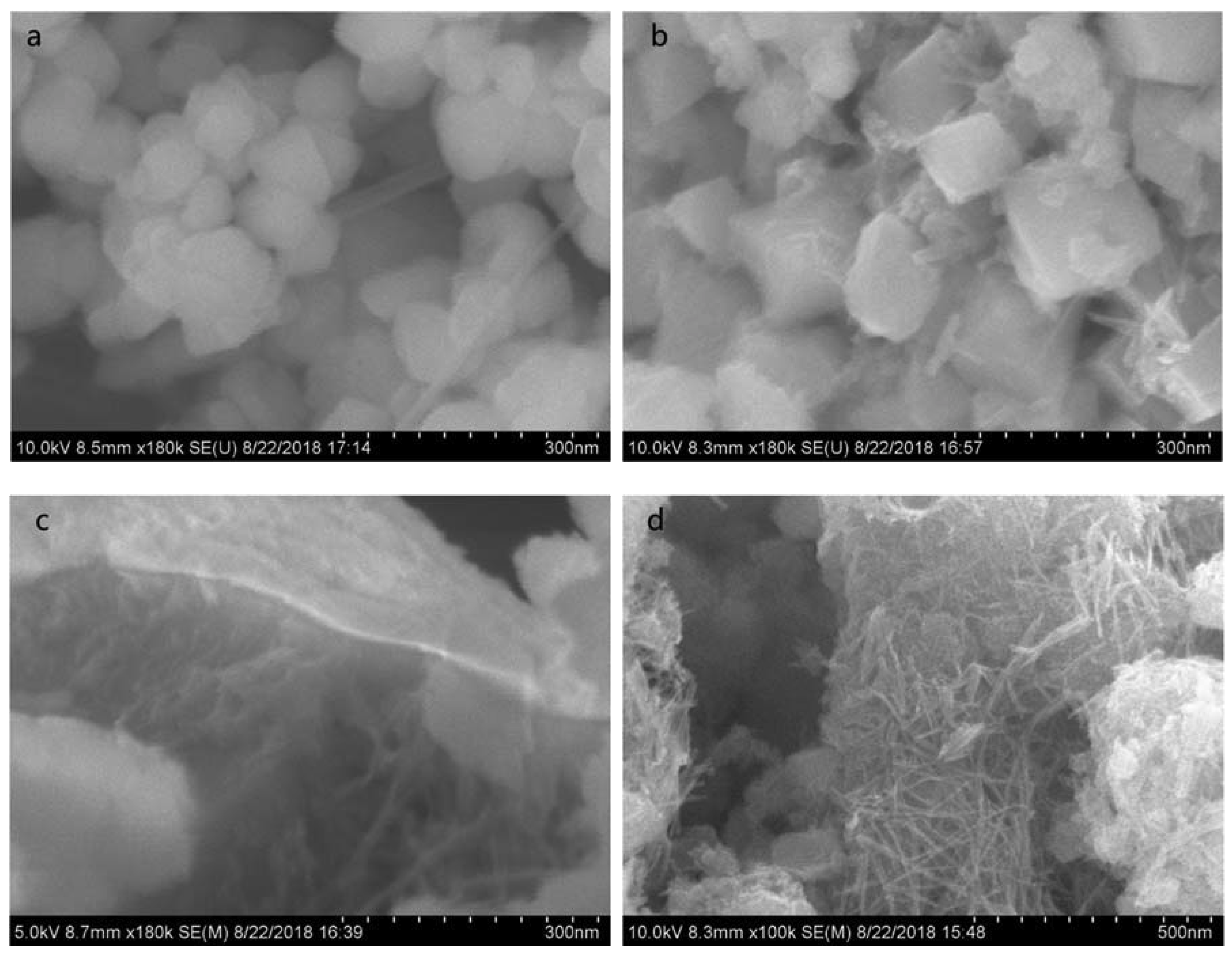 Nanomaterials 10 00461 g002a