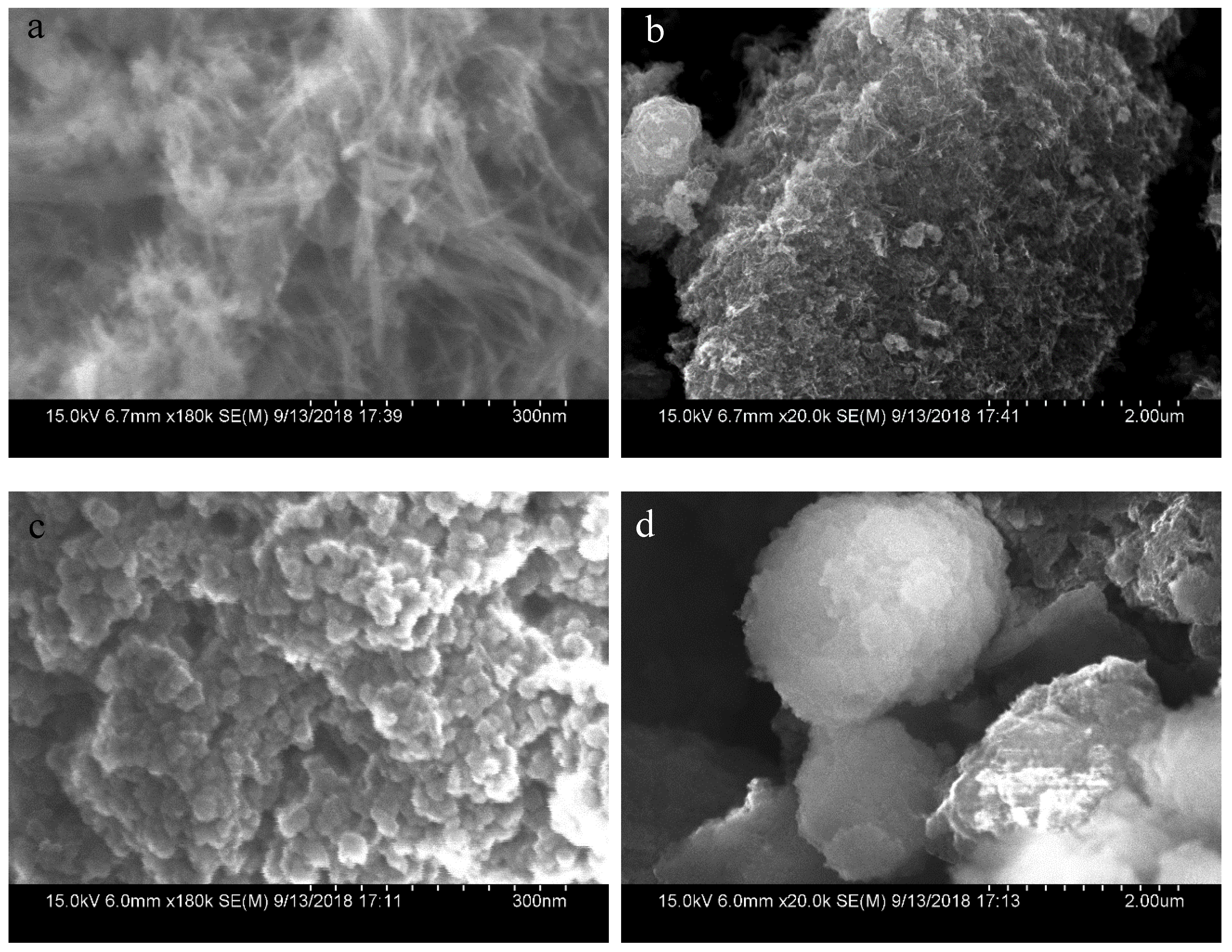 Nanomaterials 10 00461 g007